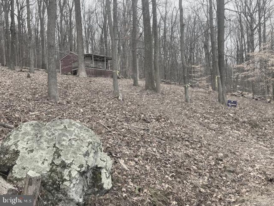 One Acre more or less per deed!   Wooded lot backs to trees and Gambrill State Park!  Beautiful spot to build your Dream Home! Current owner purchased the lot for recreational purposes only!   The 2 room cabin on lot has a cute front porch,  bunks beds, kitchen with gas stove,   Has electric. To see/show the you will GPS to this property 10264-B Highland School Rd Myersville  Md.  21773--- DO NOT  Disturb this owner,  There is a dirt driveway next to home, you will take to view  lot/ cabin on left .Approximately 1/2 mile back.  Trees are marked with yellow tape at lot! Sign is posted. It will take a 4- wheel drive to drive the driveway.  Cabin and Lot will be Sold  As Is.