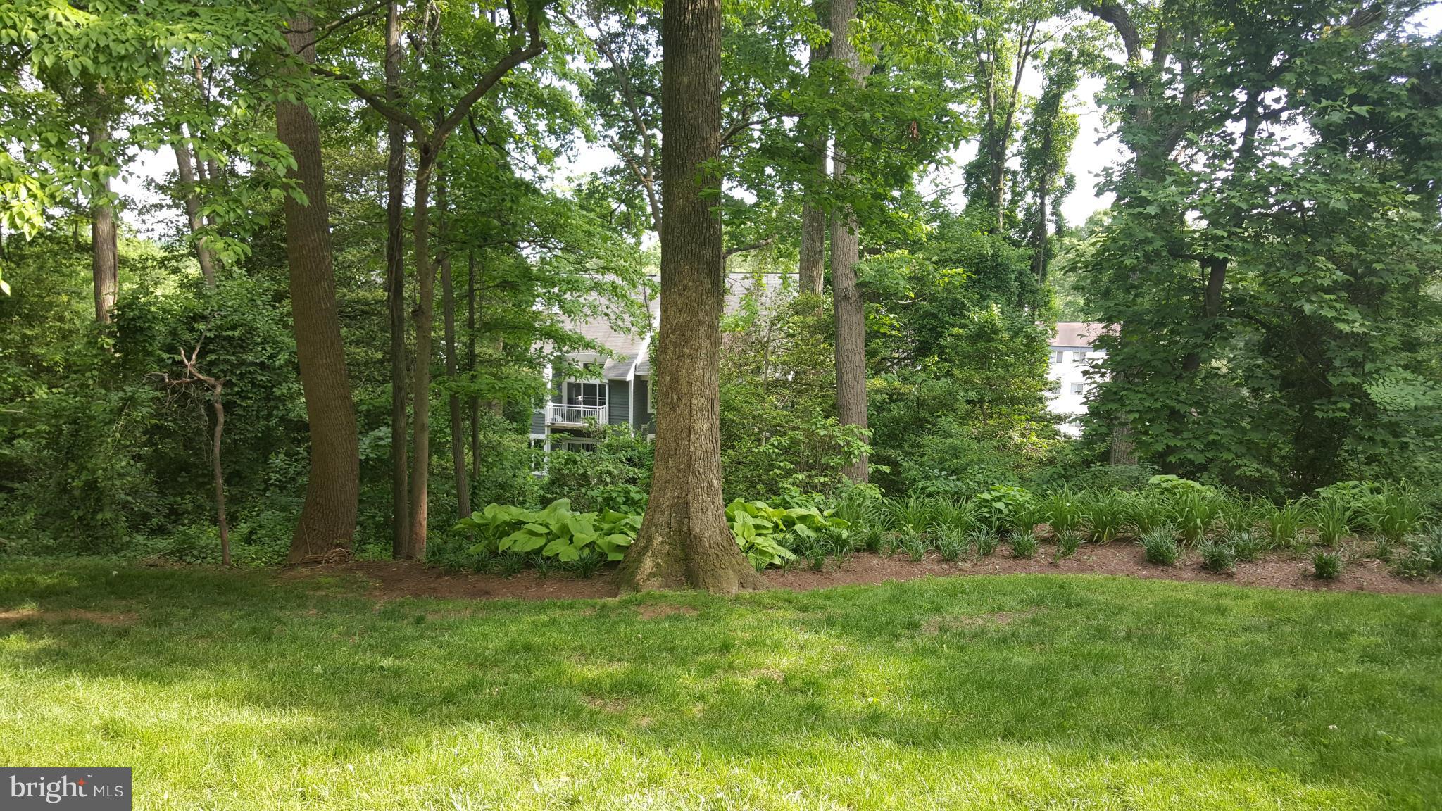 BAY HILLS - Residential Lease