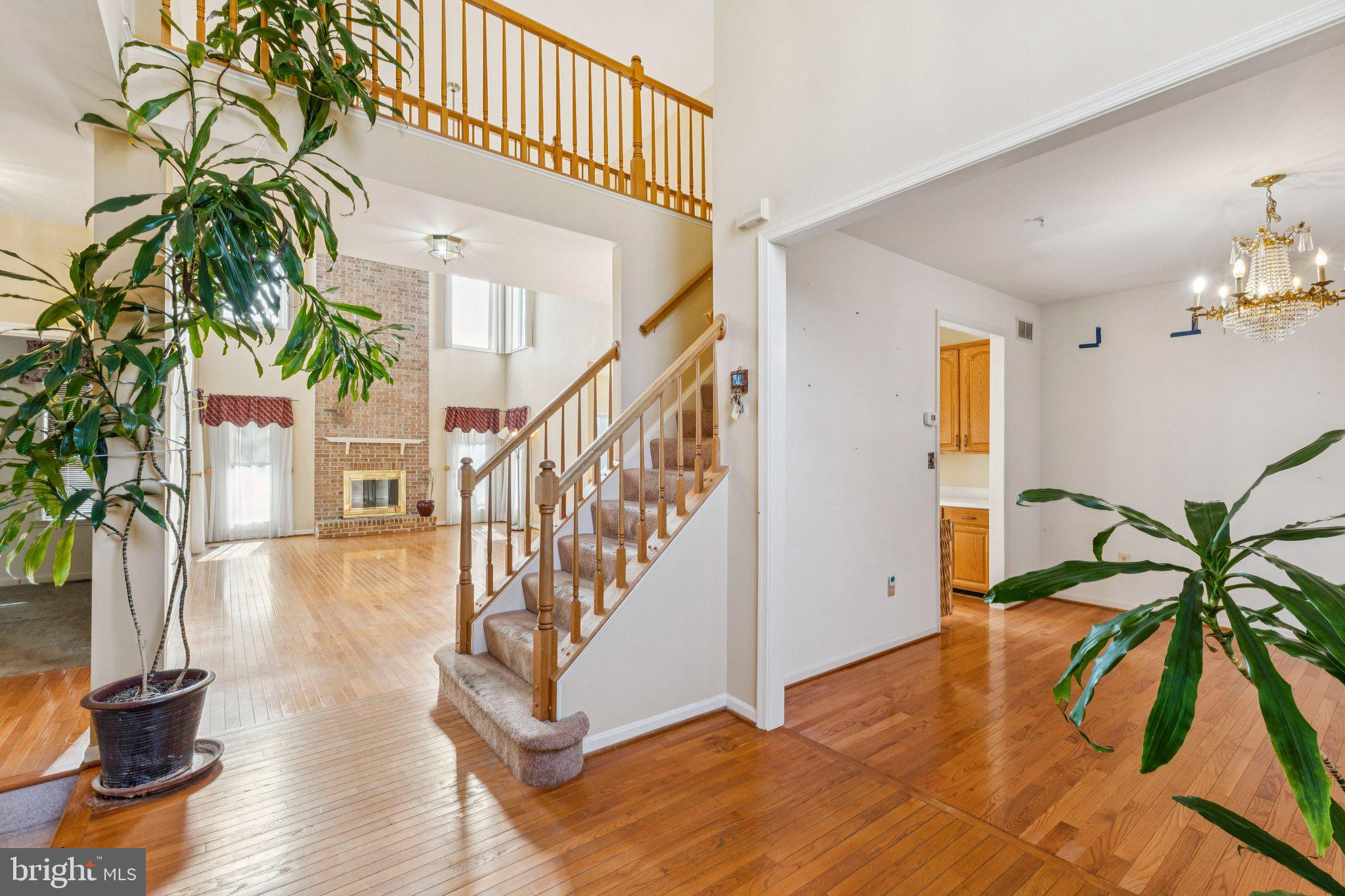 12205 QUICK FOX LANE