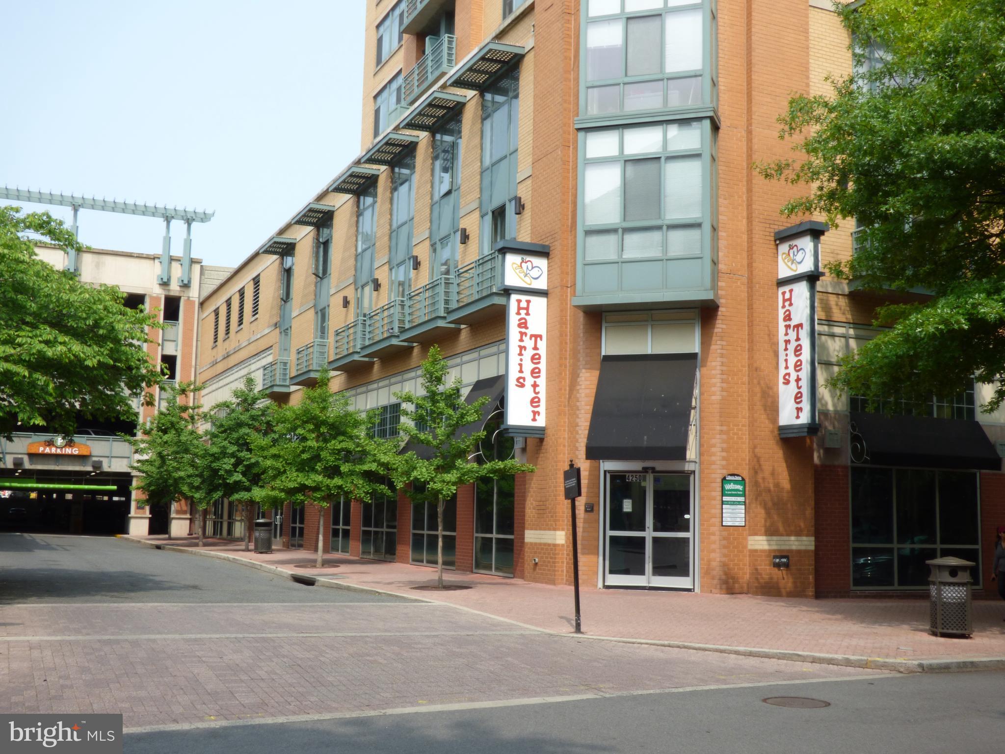 SHIRLINGTON VILLAGE - Residential
