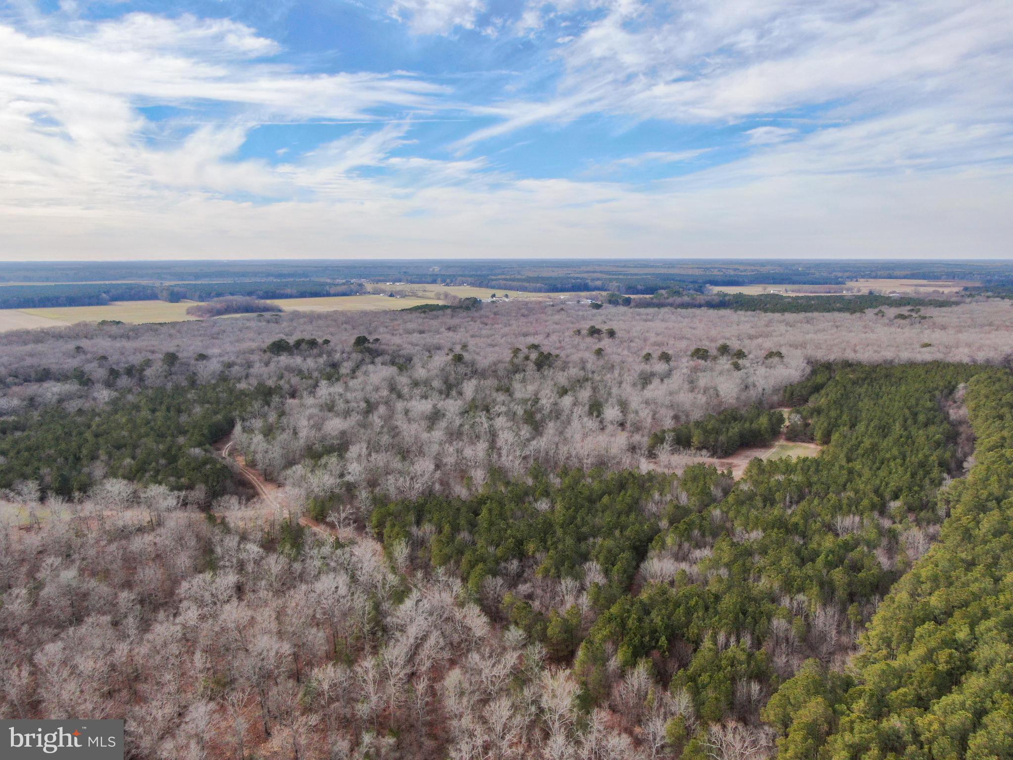 NONE AVAILABLE - Land