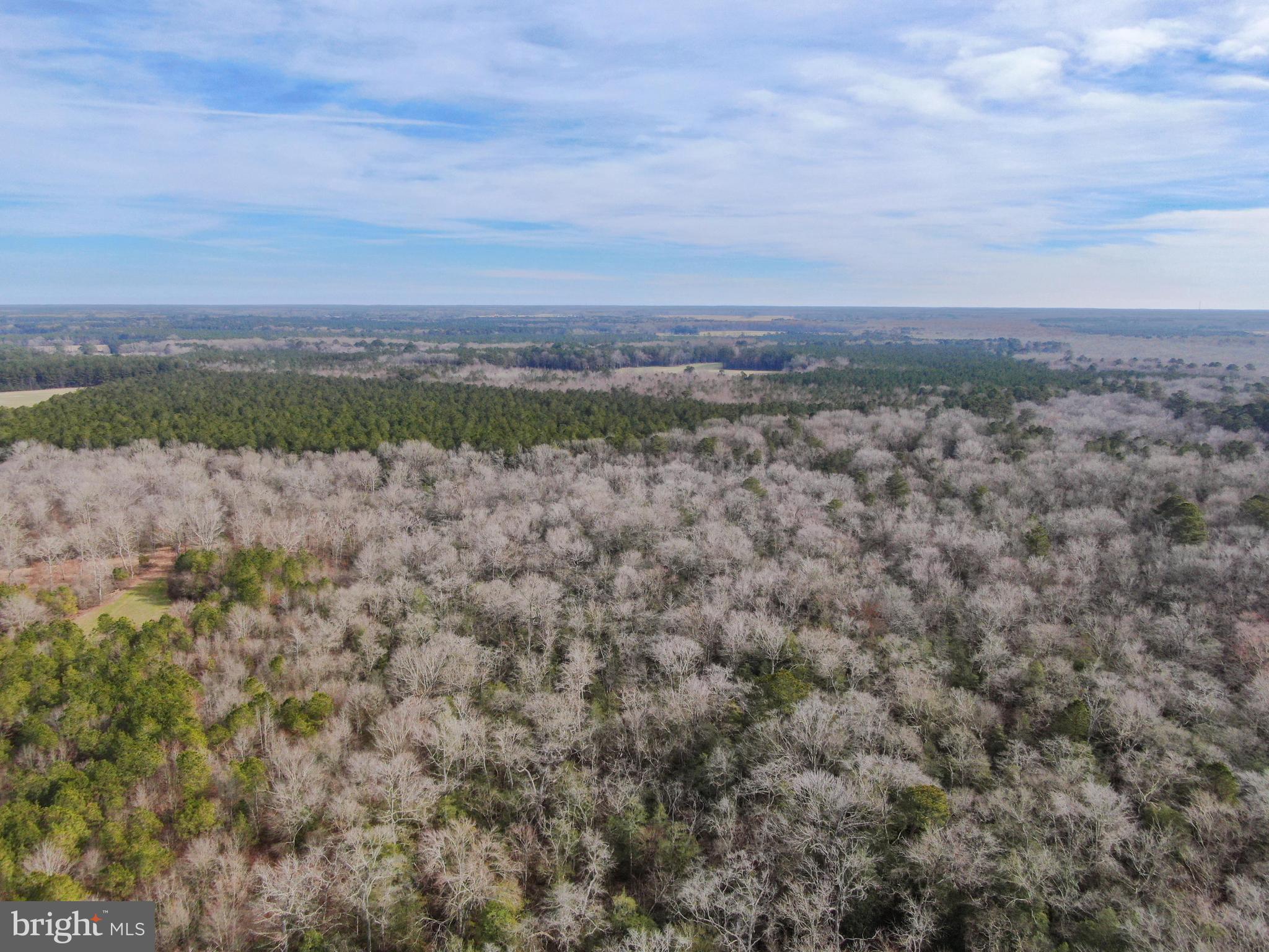 NONE AVAILABLE - Land