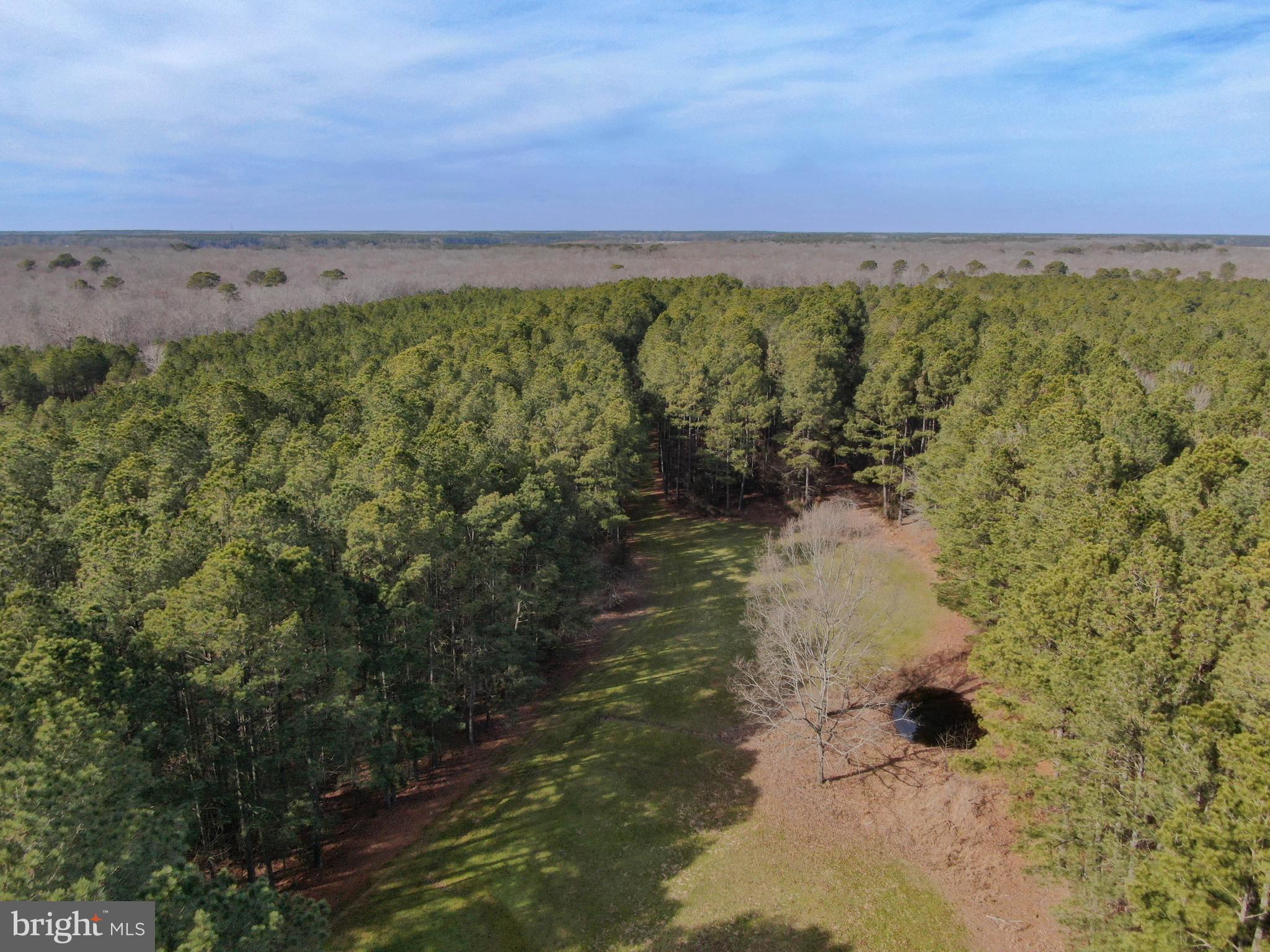 NONE AVAILABLE - Land