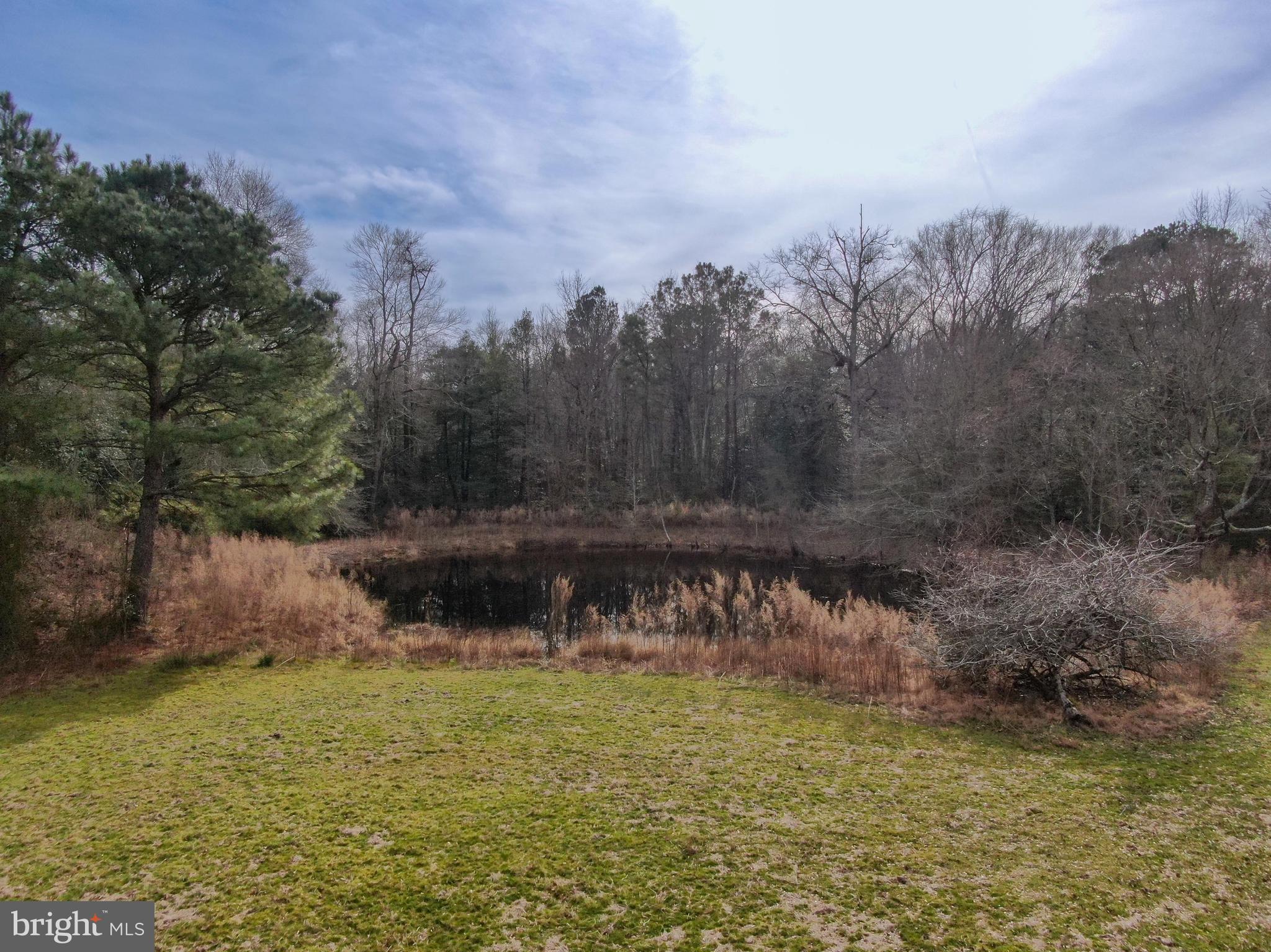 NONE AVAILABLE - Land