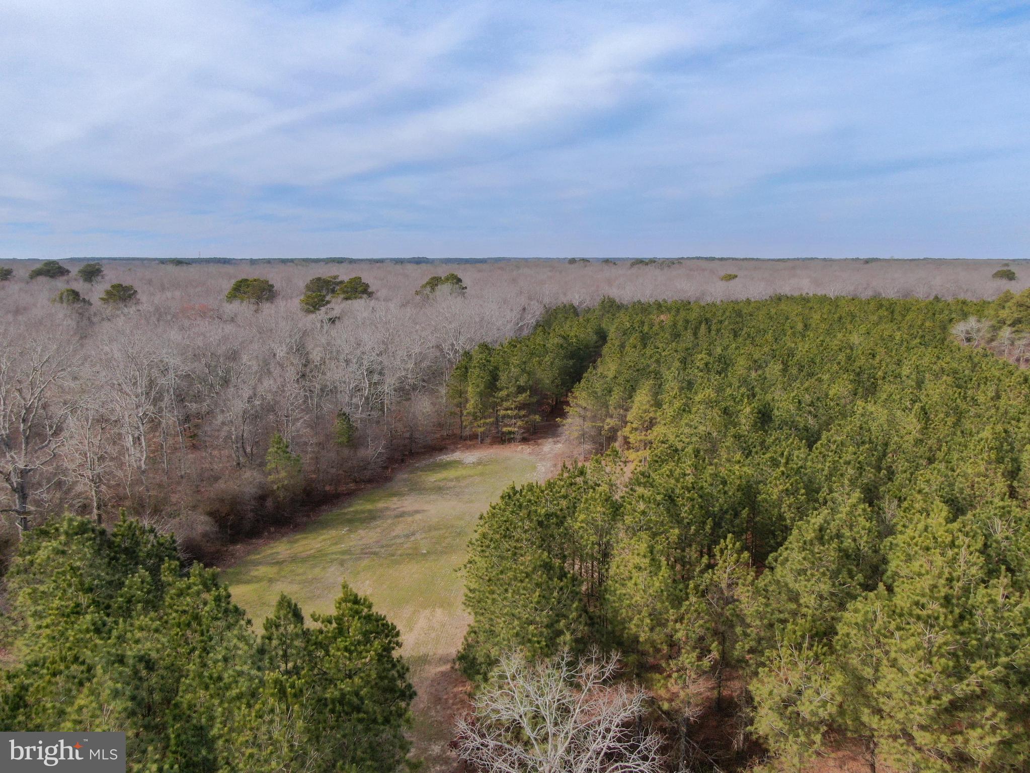 NONE AVAILABLE - Land