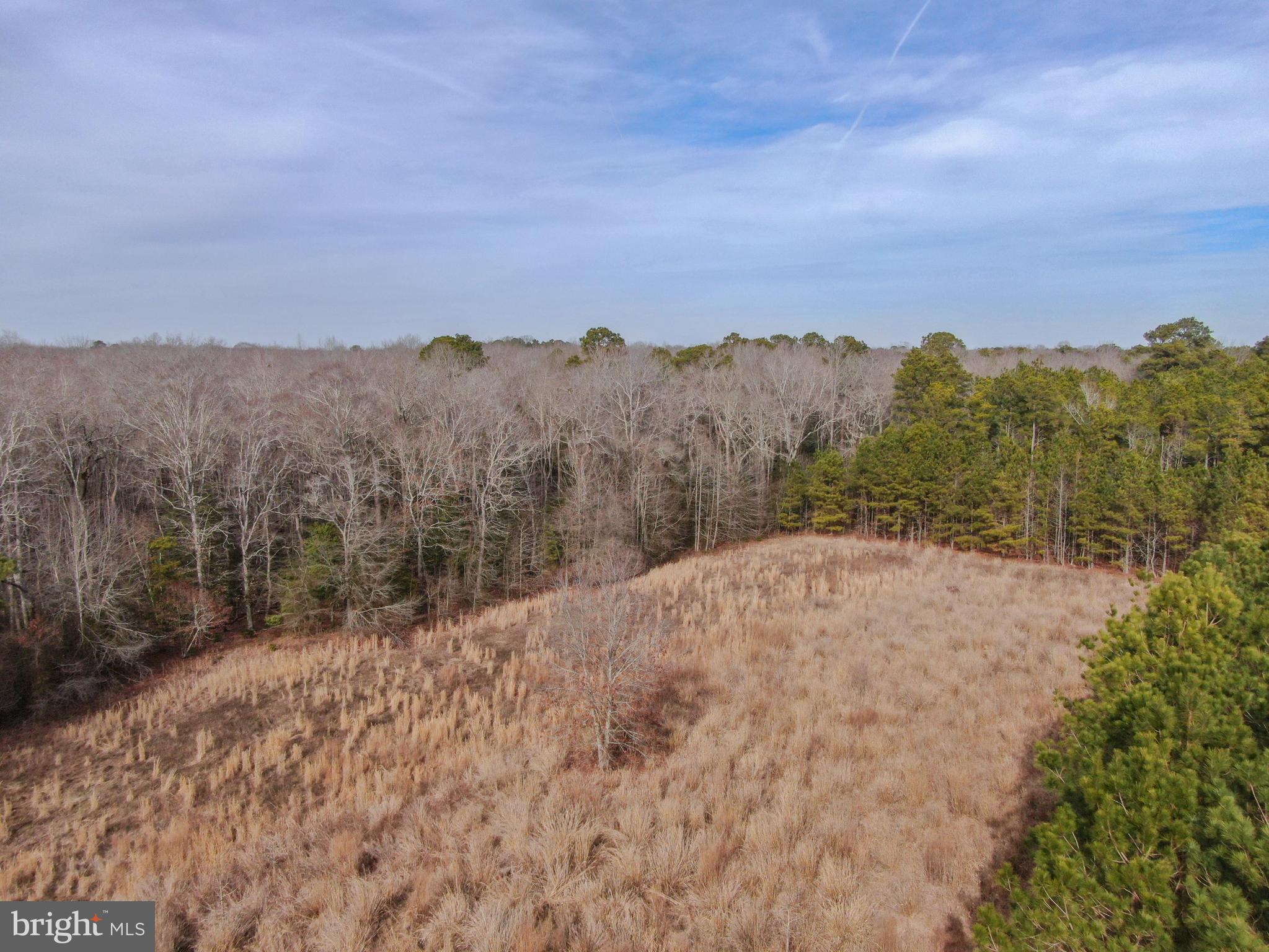 NONE AVAILABLE - Land