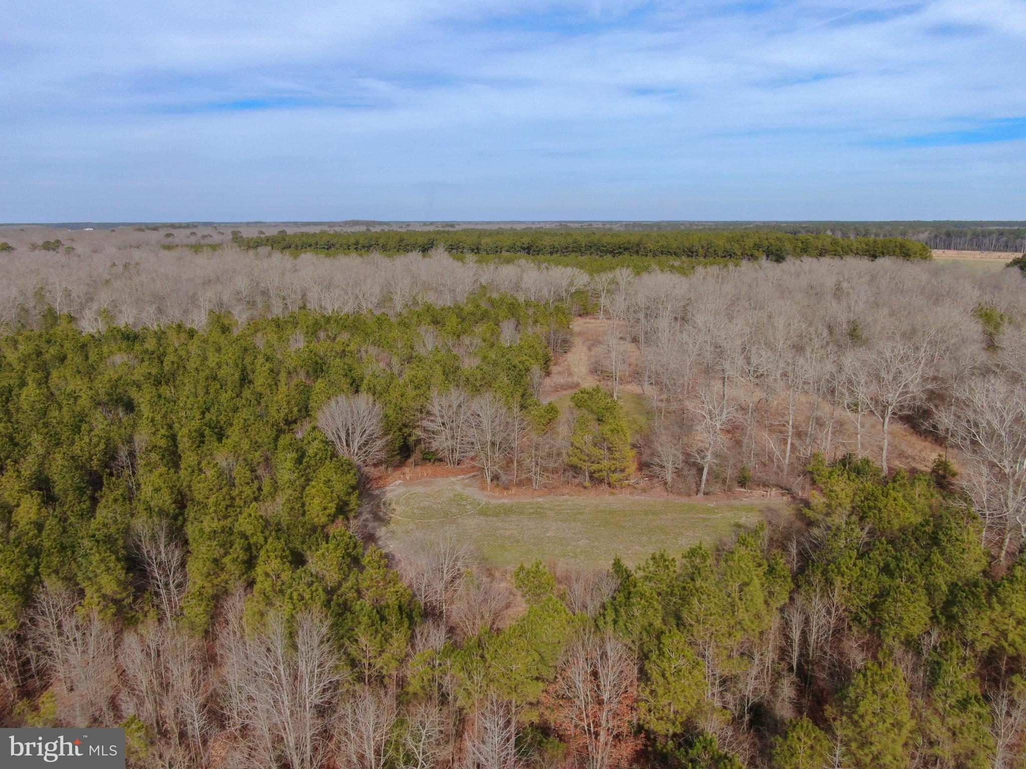 NONE AVAILABLE - Land