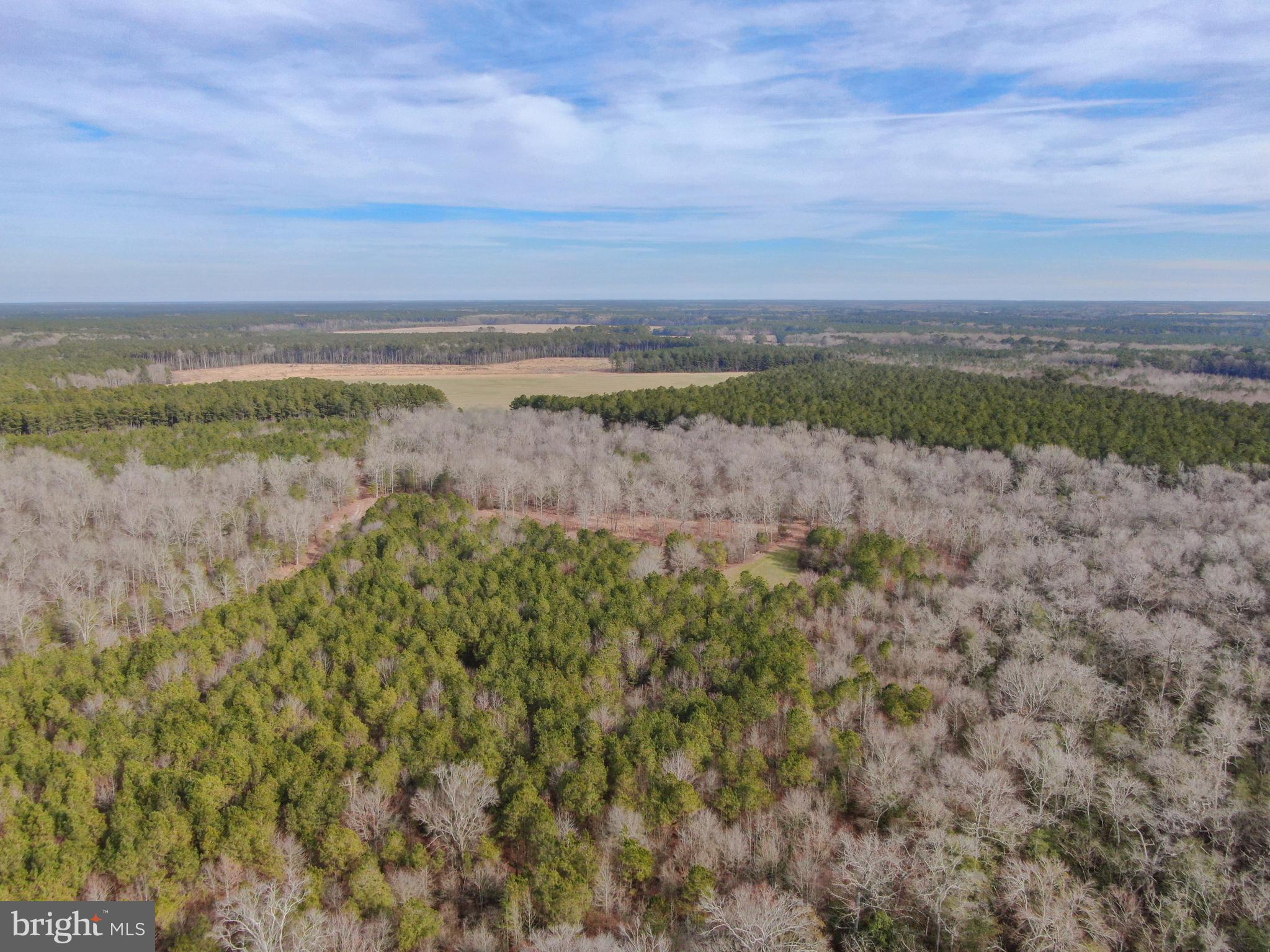 NONE AVAILABLE - Land