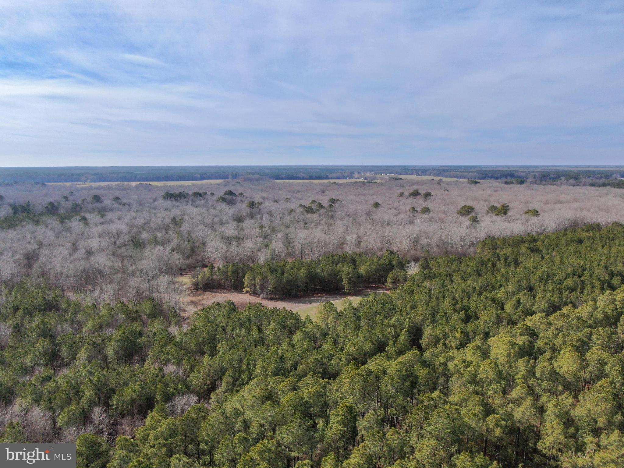 NONE AVAILABLE - Land