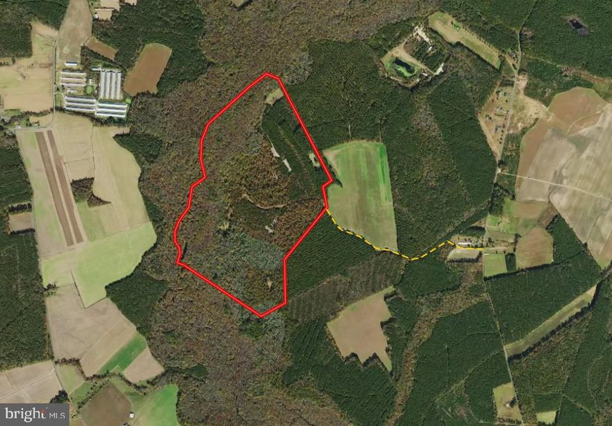 219.44+/- acres of mostly timber located just north of Pocomoke City, MD. With 10+/- acres in food plots, ponds, various habitat types, and strong timber management practices, the property provides year round habitat for the full life cycle of turkey, whitetail, and other upland wildlife. The property is encumbered in a conservation easement. A beautifully constructed cabin and utility shed on the property offer a place to stay and store gear. The cabin is partially finished on the inside. Dividing Creek runs through the western boundary of the ownership offering prime habitat for a variety of early season waterfowl. The ownership is accessed through a deeded ROW off of Fleming Mill Road.