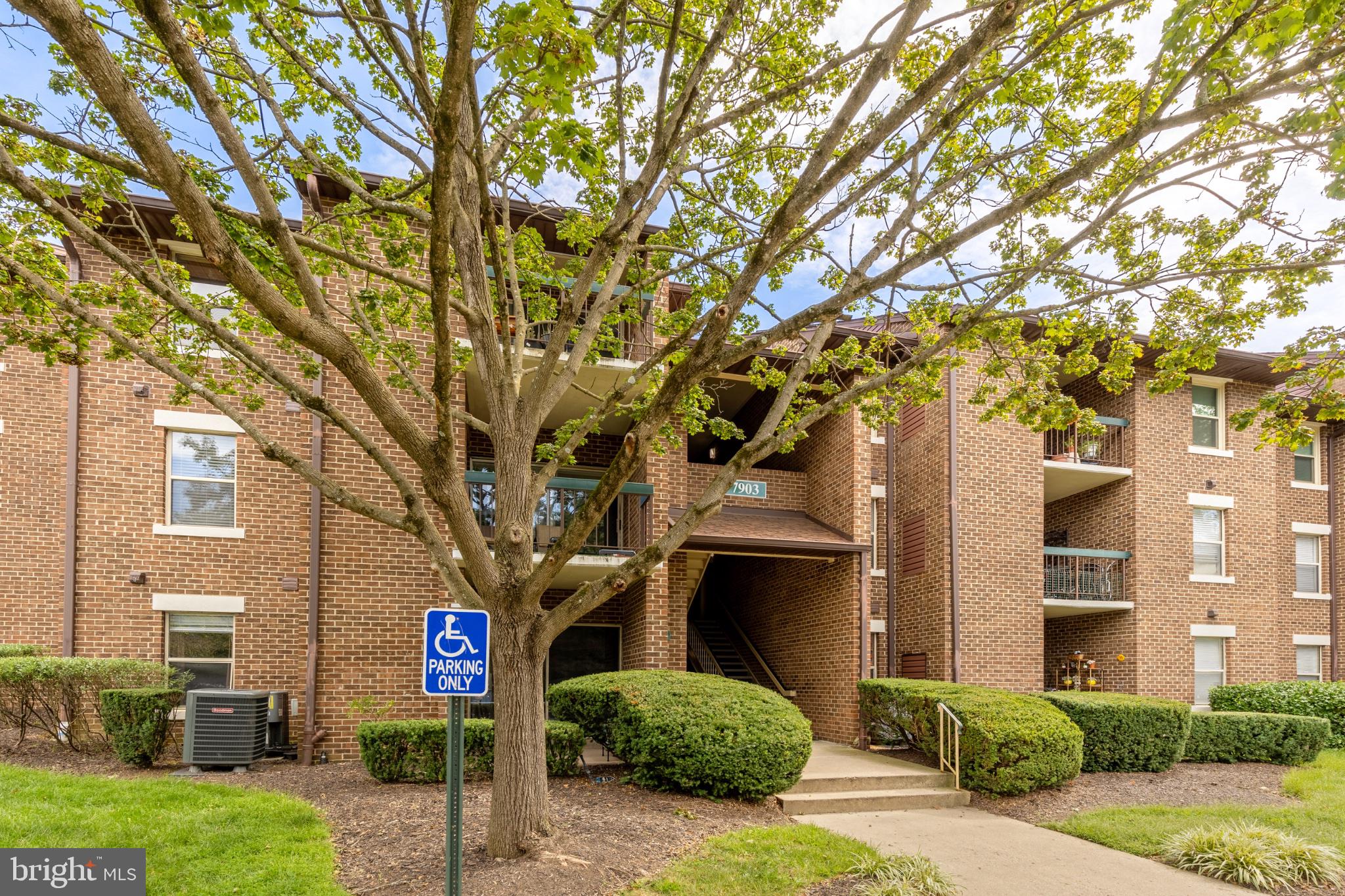 7903 CORIANDER DRIVE 202