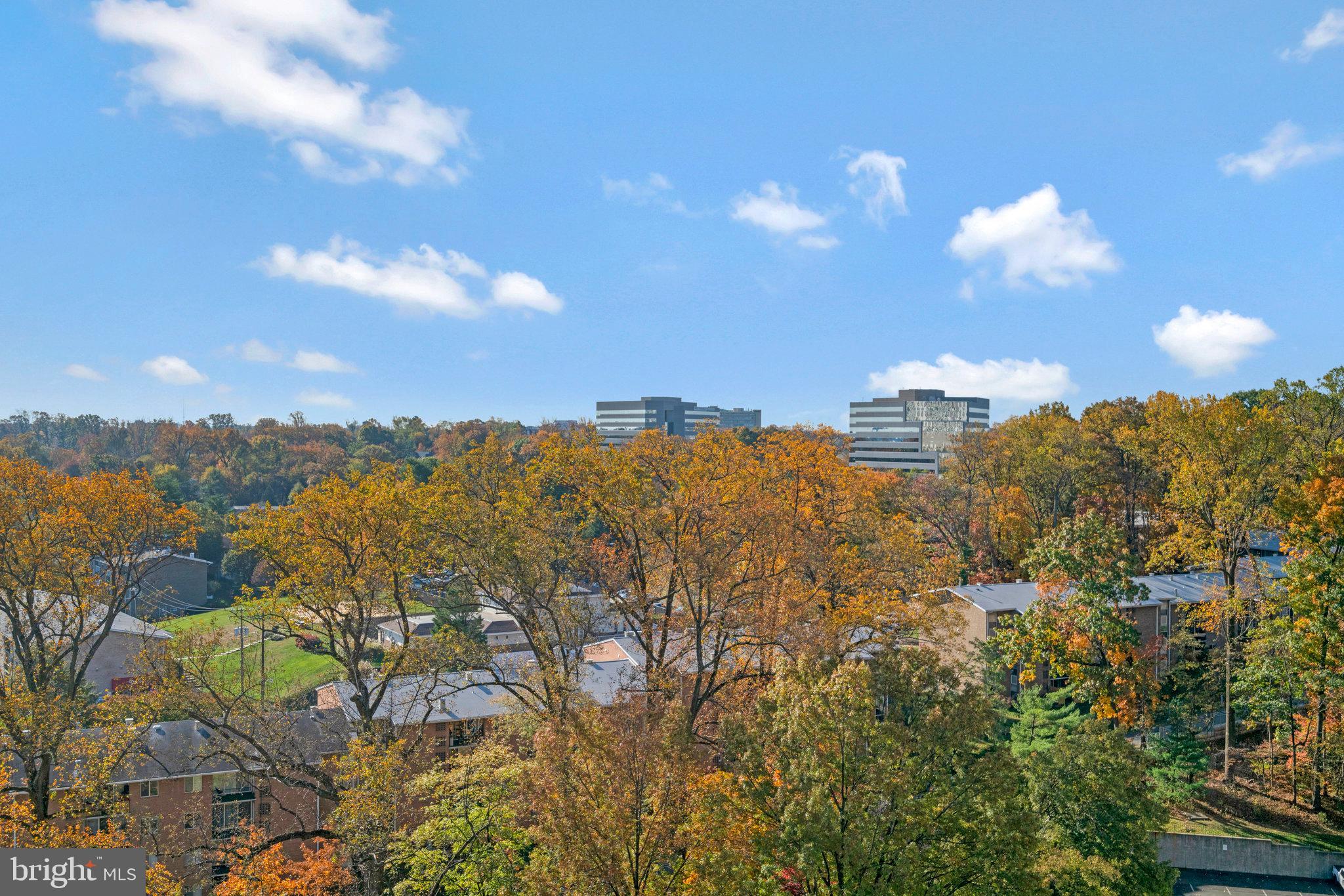 REGENCY AT MCLEAN - Residential