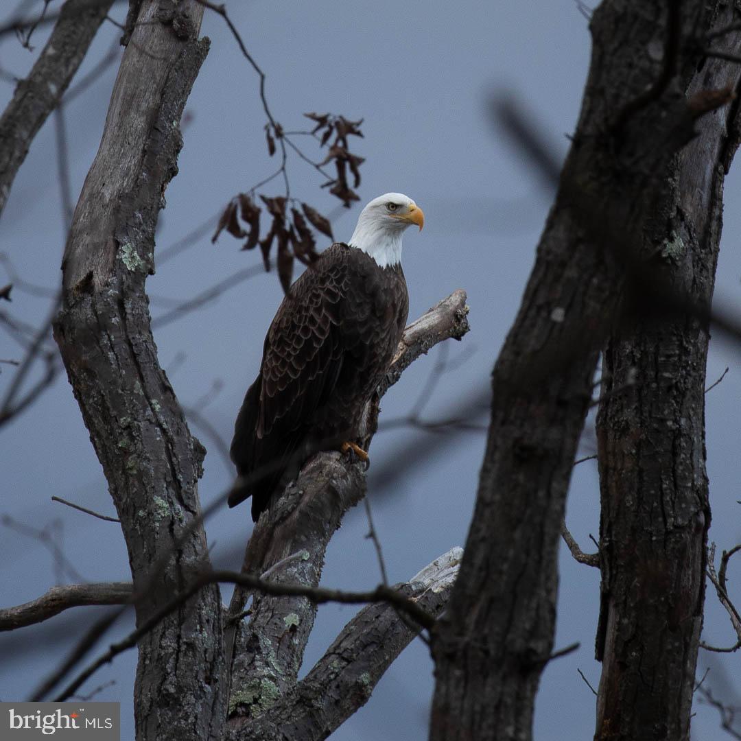 CHURCHILL TOWN SECTOR - Residential