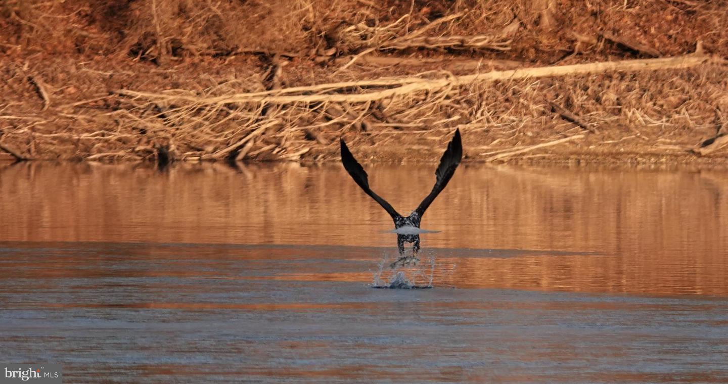 CHURCHILL TOWN SECTOR - Residential