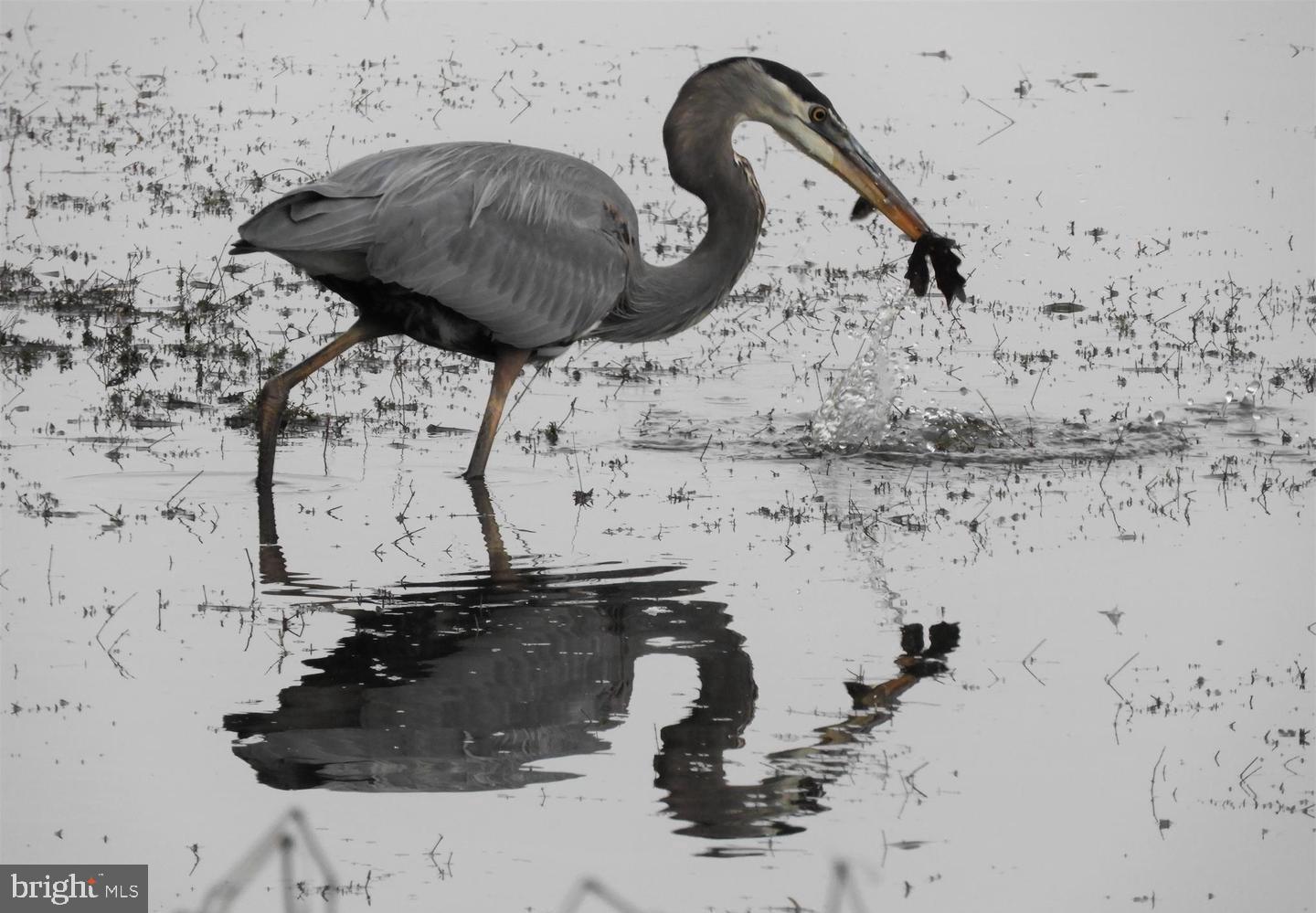 CHURCHILL TOWN SECTOR - Residential