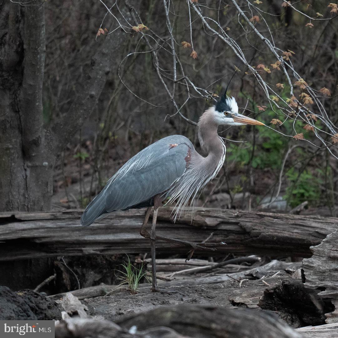 CHURCHILL TOWN SECTOR - Residential