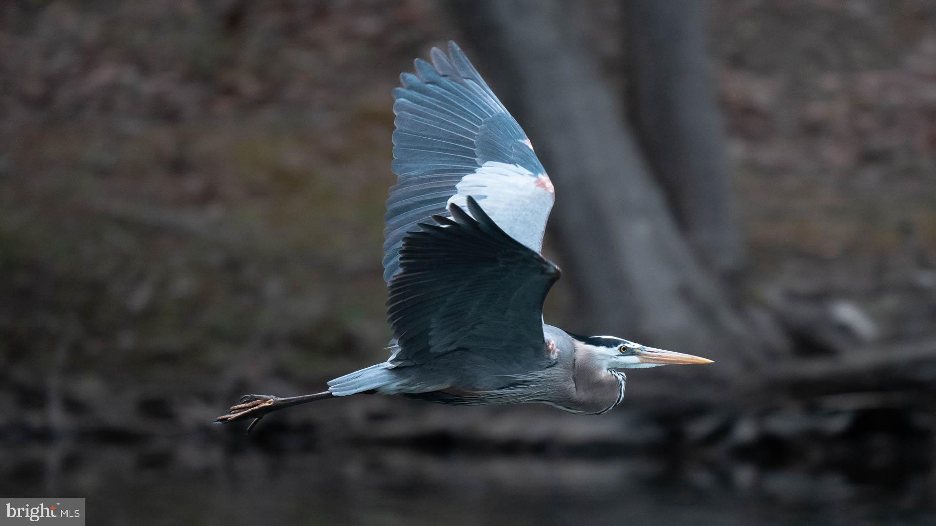 CHURCHILL TOWN SECTOR - Residential