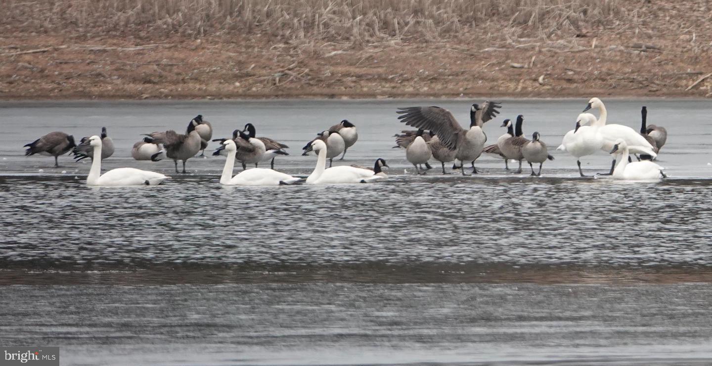 CHURCHILL TOWN SECTOR - Residential