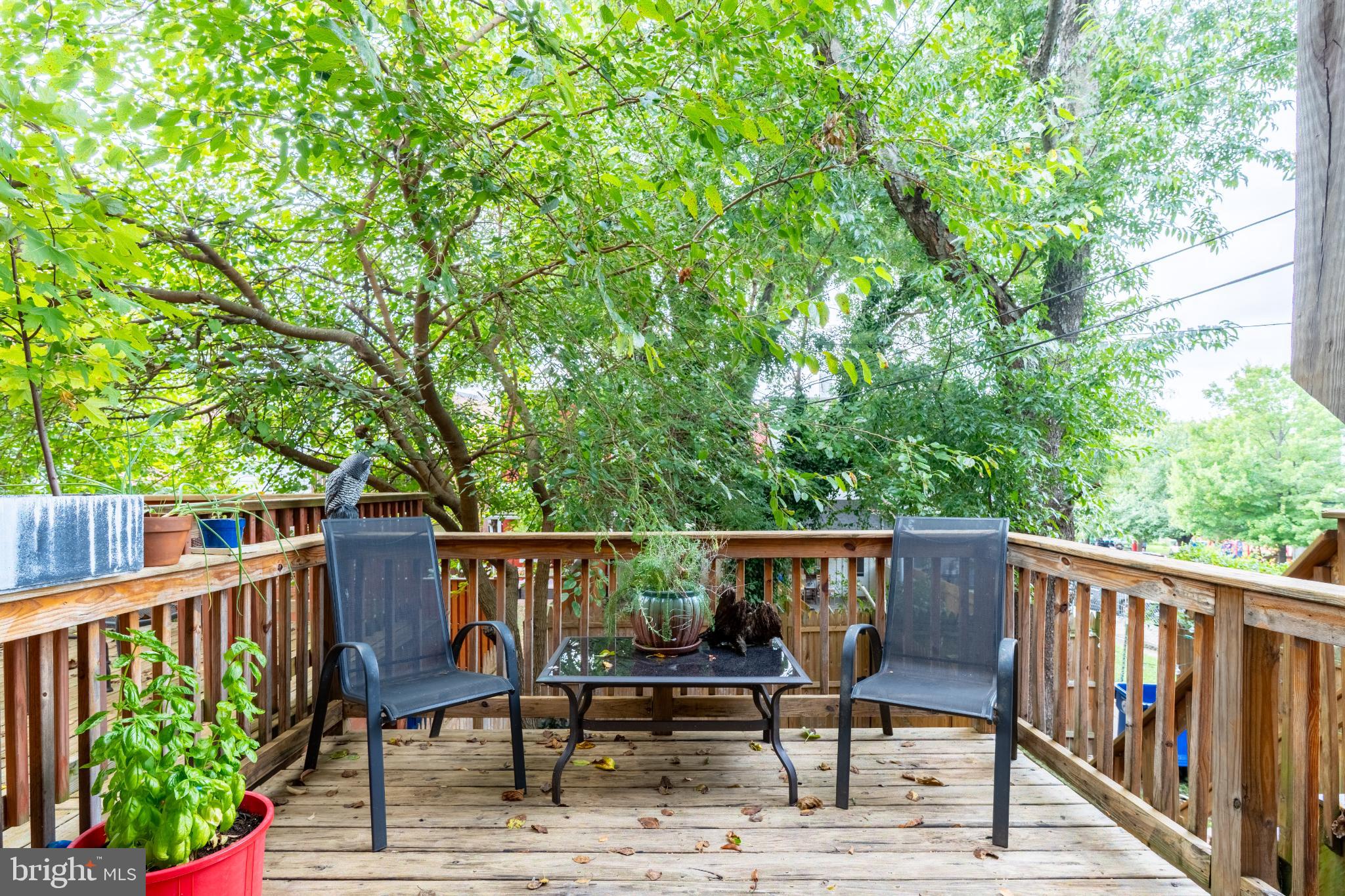 HAMPDEN HISTORIC DISTRICT - Residential