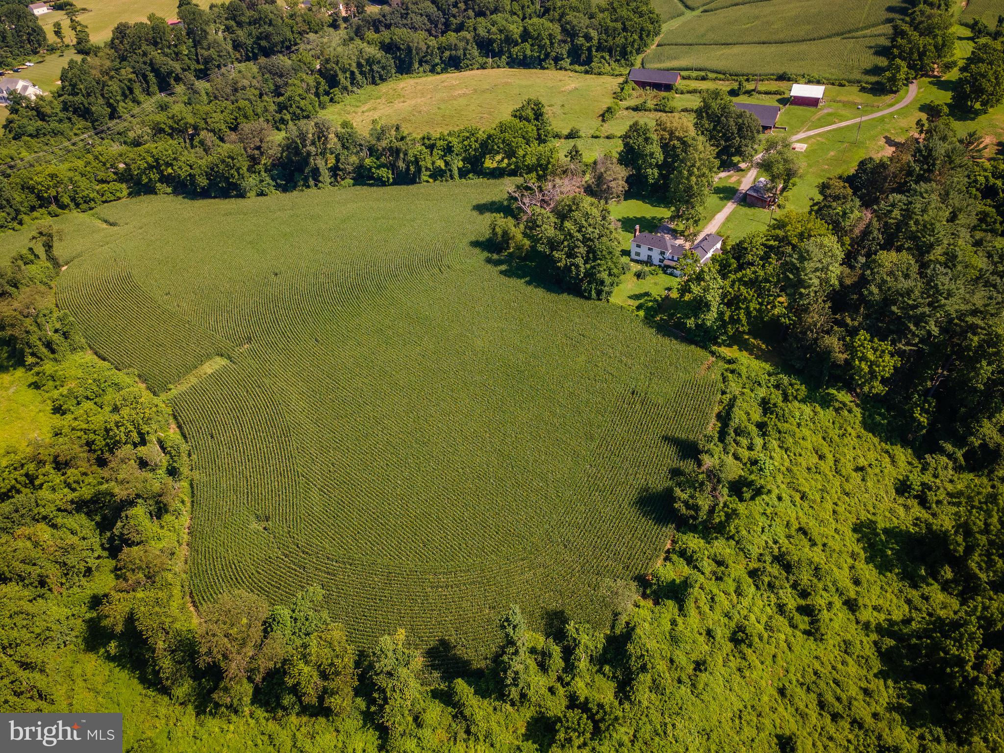 NONE AVAILABLE - Farm