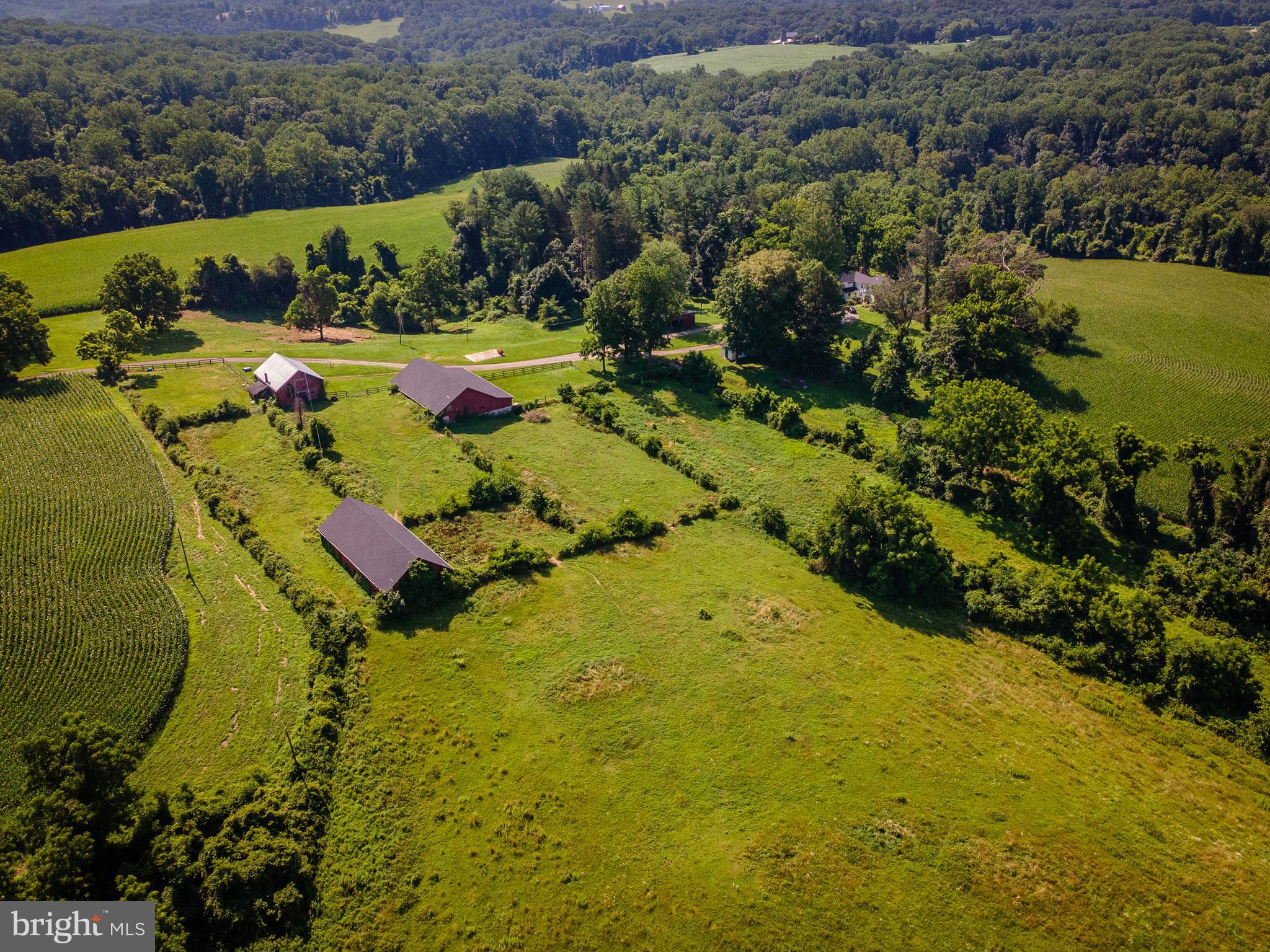 NONE AVAILABLE - Farm