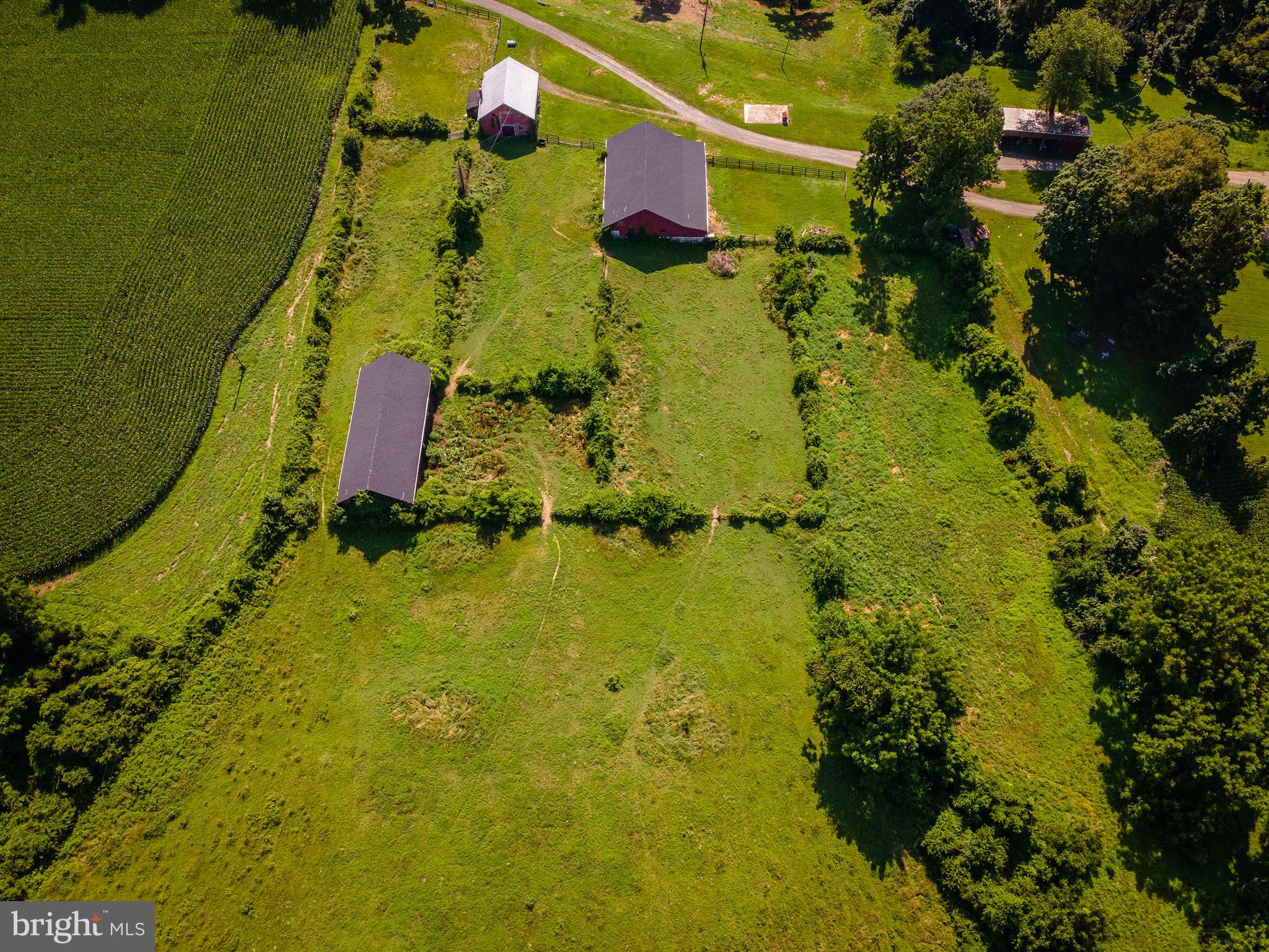 NONE AVAILABLE - Farm