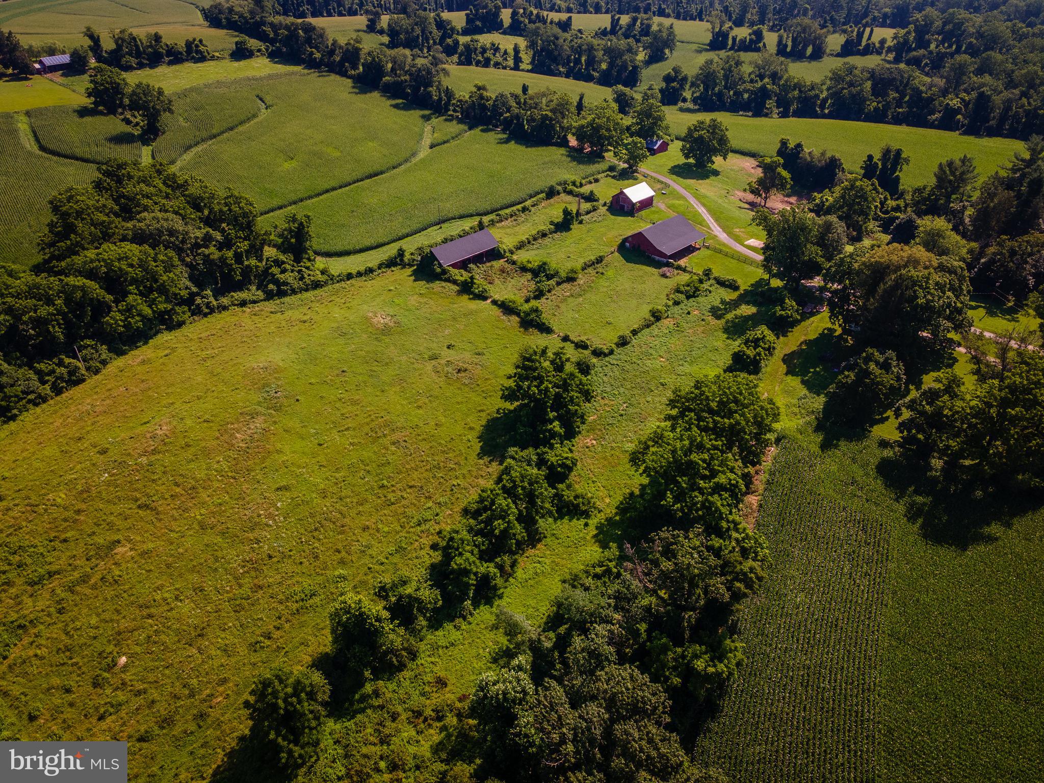 NONE AVAILABLE - Farm