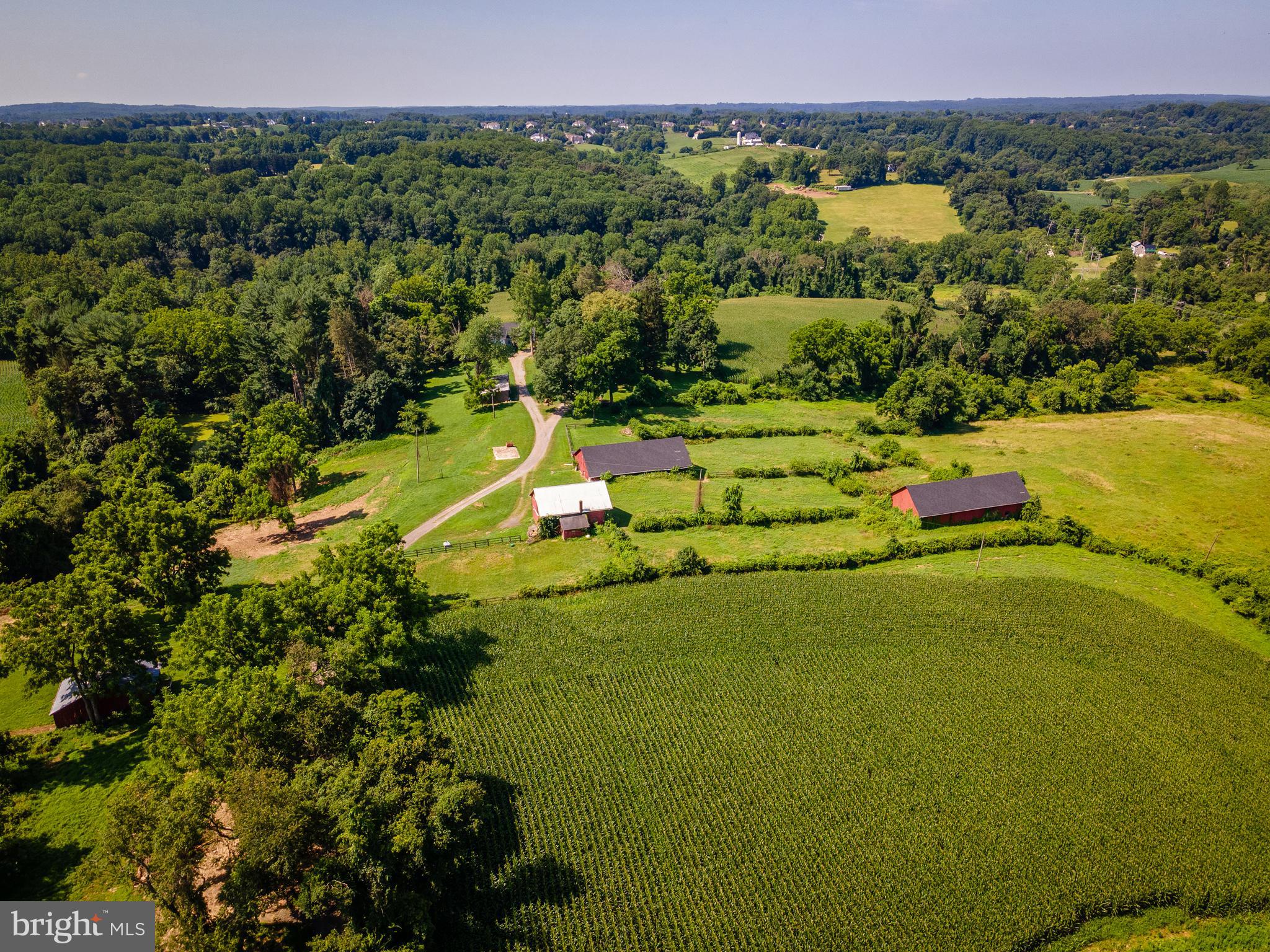 NONE AVAILABLE - Farm