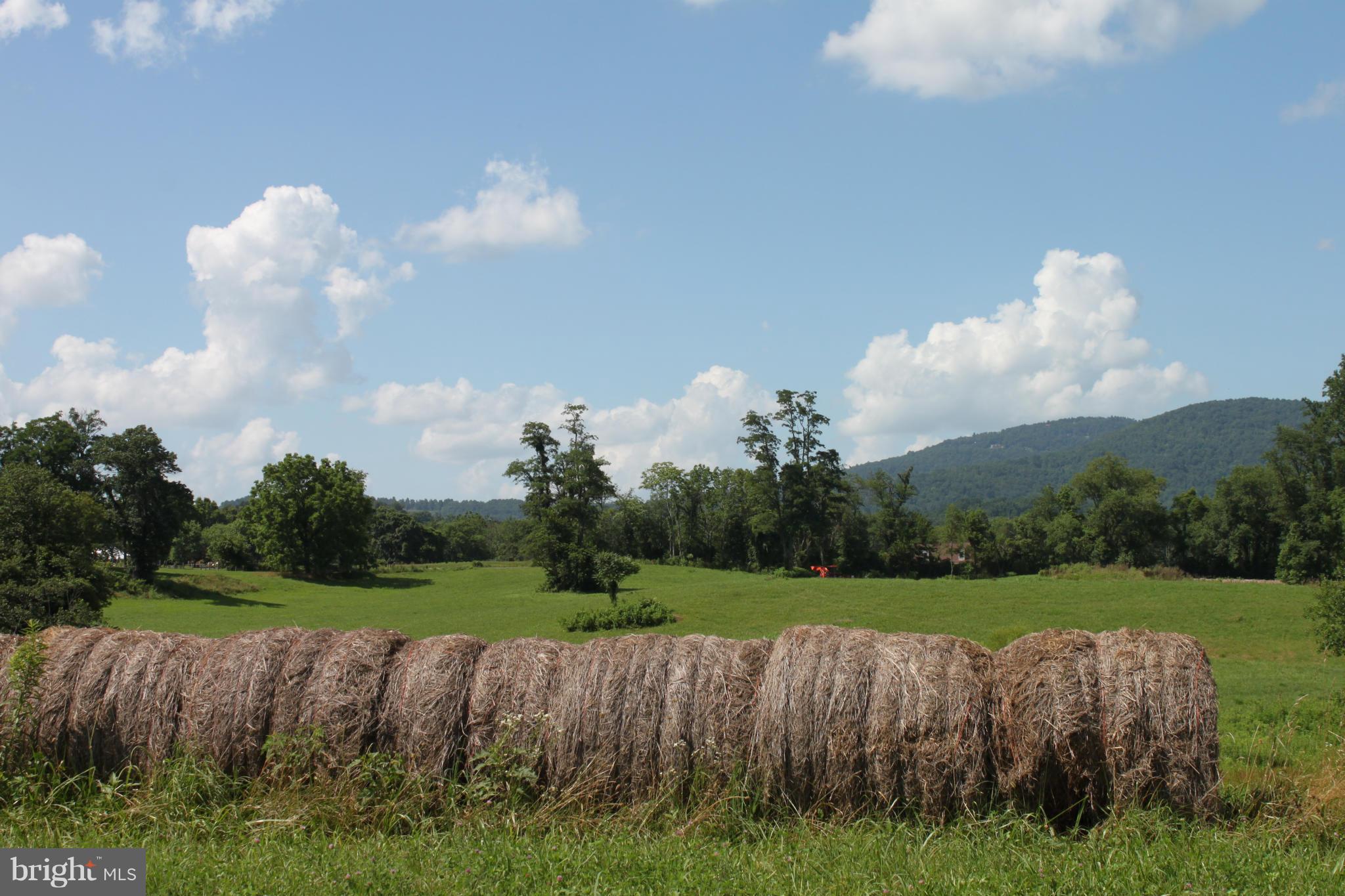 NONE AVAILABLE - Land