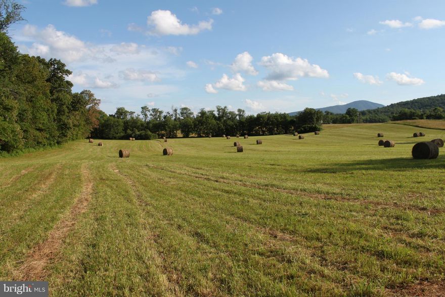 *Price reduced!  See the stars, hear yourself think. Enjoy the splendor that is Rappahannock. Beautiful house site on cleared 6+ acre lot with 4 bedroom perc approved. Gently rolling hills with vineyard and mountain views. Priced well below assessment. If you have always wanted to build your own home, this is a must see location. Bordered by beautiful stone wall (wall needs clearing).