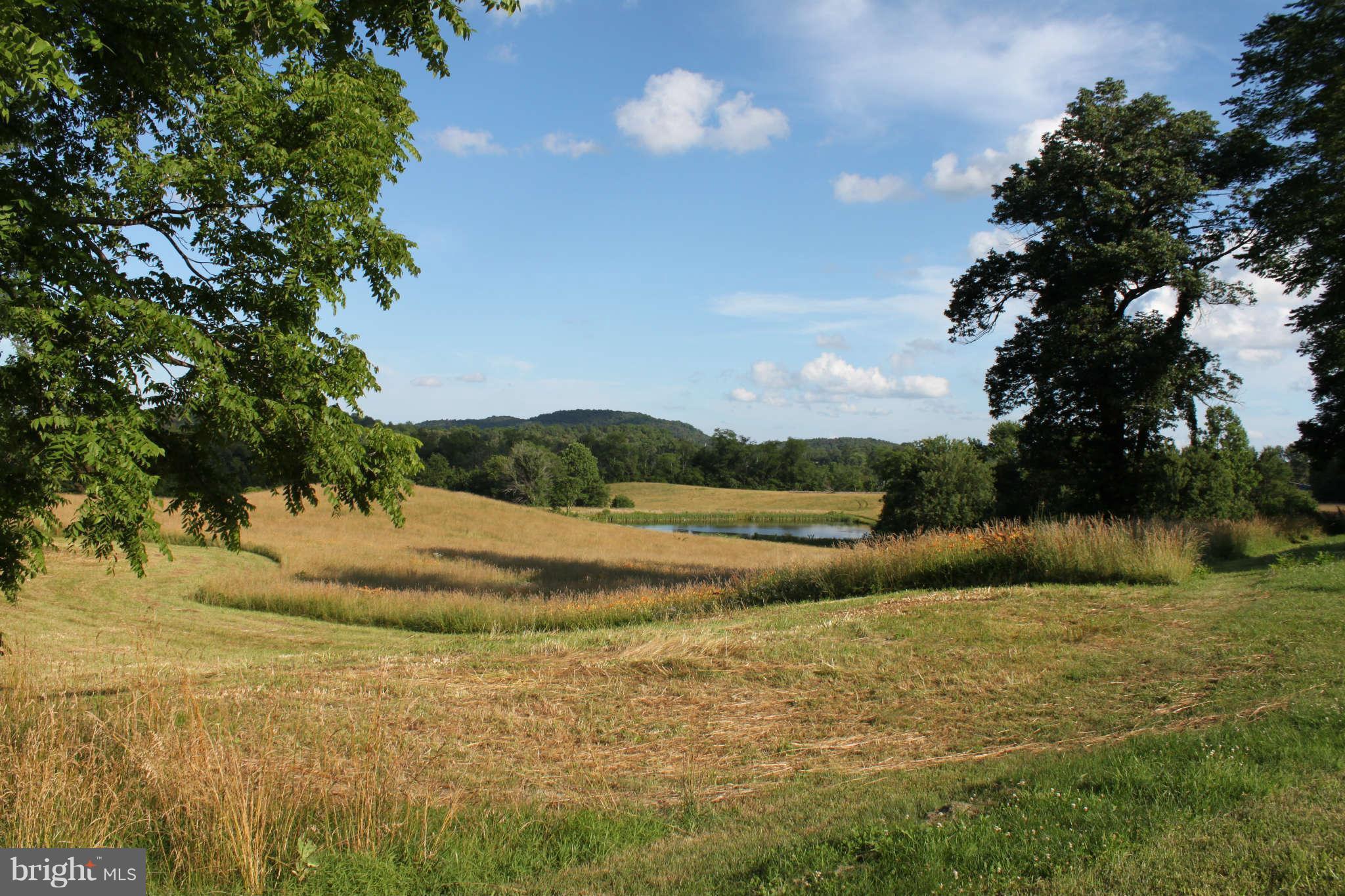 NONE AVAILABLE - Land