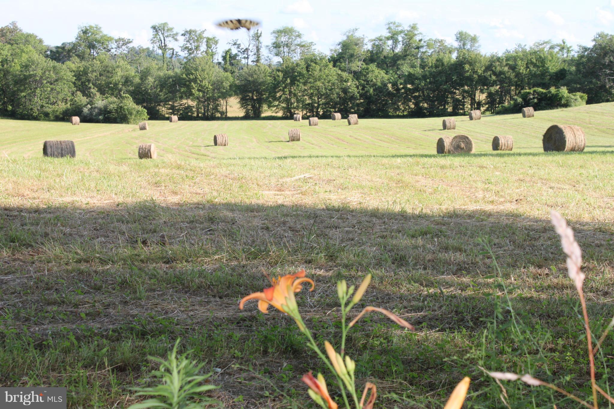 NONE AVAILABLE - Land