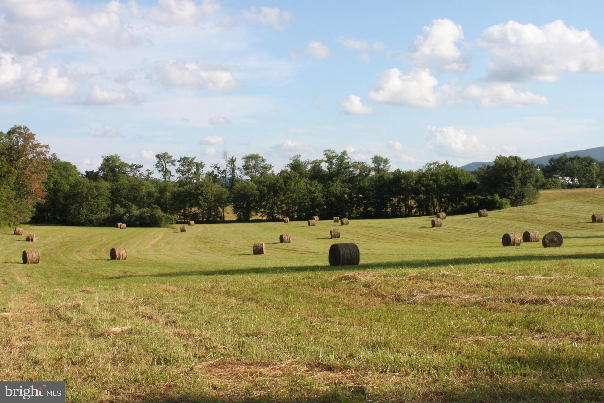 NONE AVAILABLE - Land