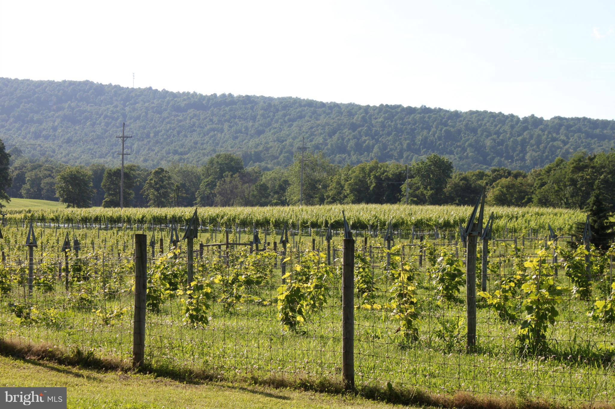 NONE AVAILABLE - Land