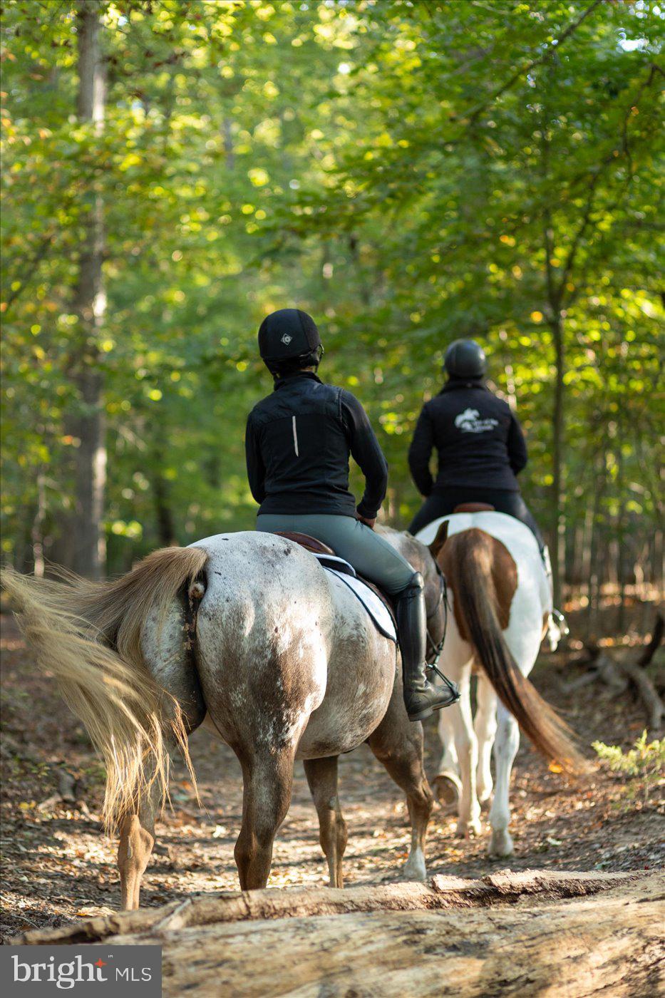 LAKE OF THE WOODS - Residential