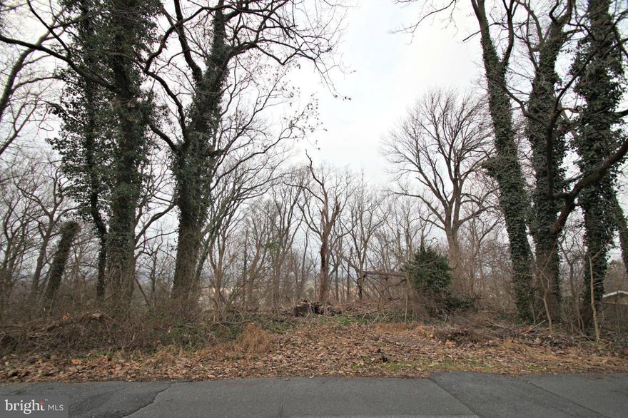 Bring your builder! 1.48 acre wooded lot in desirable Blossom Hill, Manheim Township. Close to Overlook Park. Convenient to schools, banks, shopping, parks. This sloped lot allows for a walk-out basement and great views out the back. Let your imagination go! Stormwater management plan approved and available.