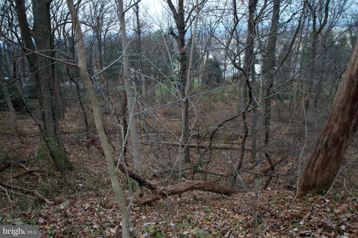 BLOSSOM HILL - Land