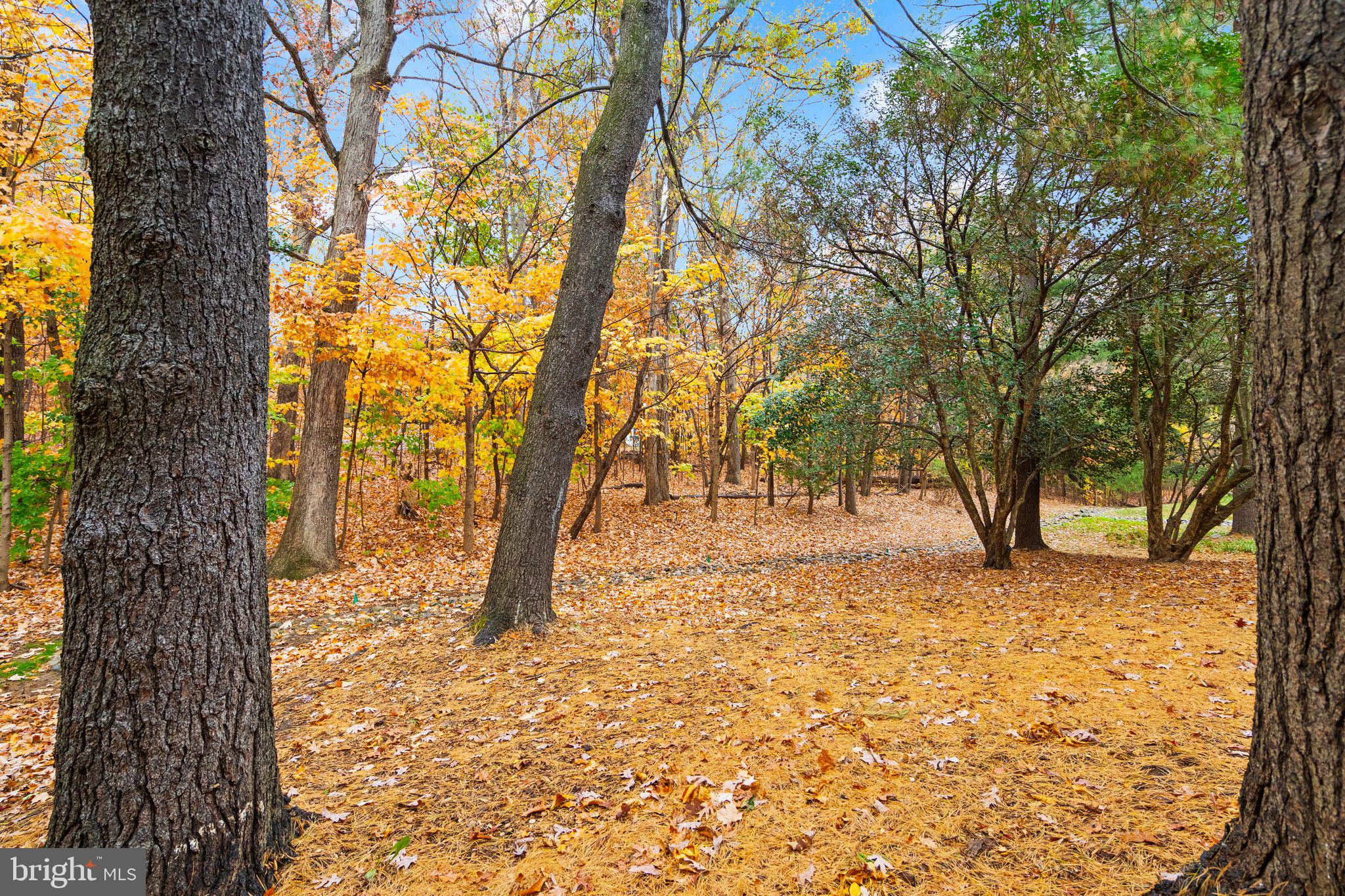 BENTANA PARK - Residential