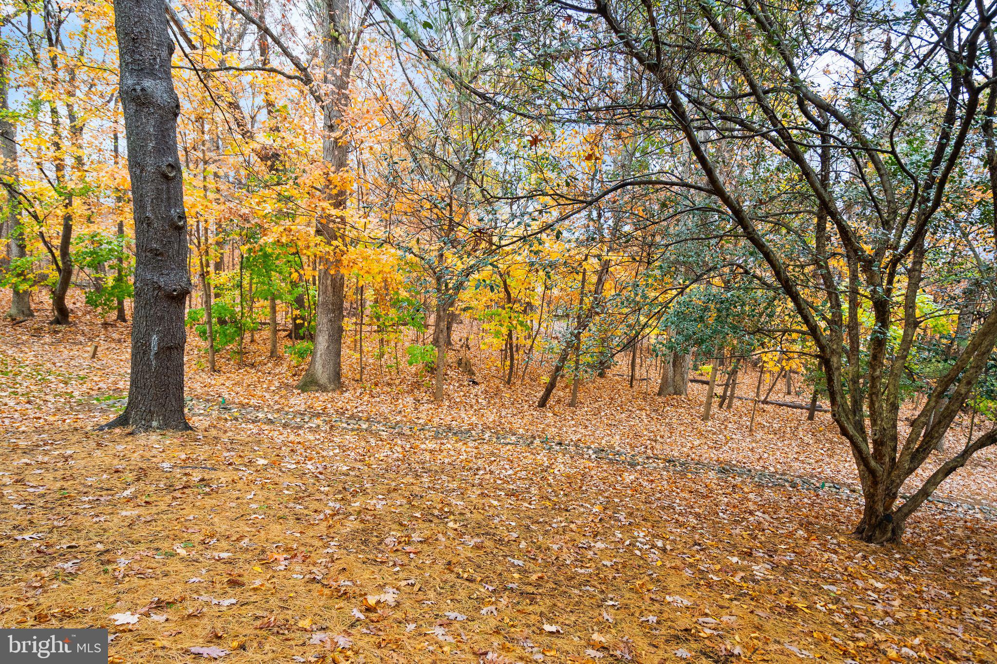 BENTANA PARK - Residential