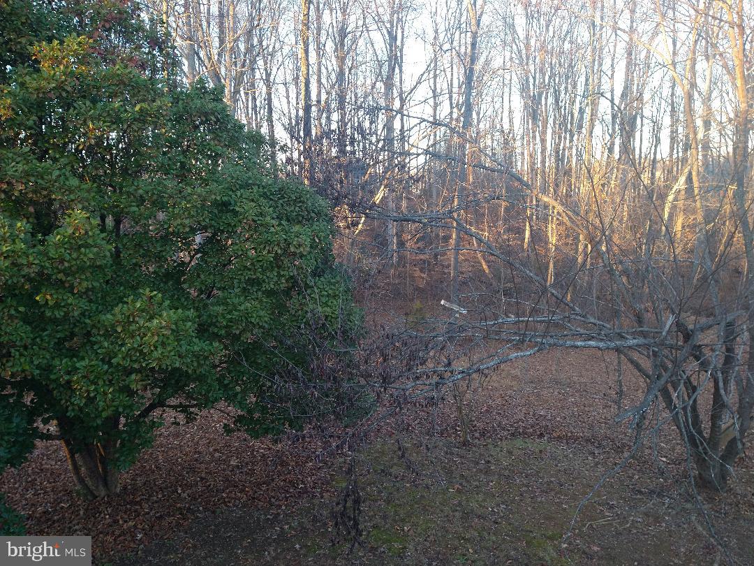 HARTWOOD VILLAGE - Residential