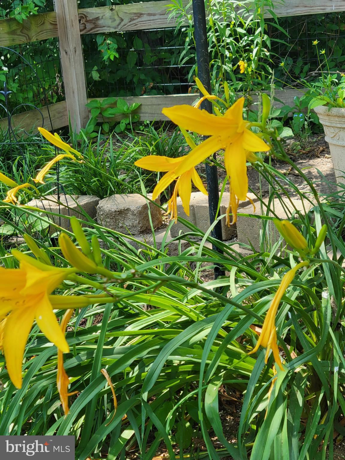 FREDERICKTOWNE VILLAGE - Residential