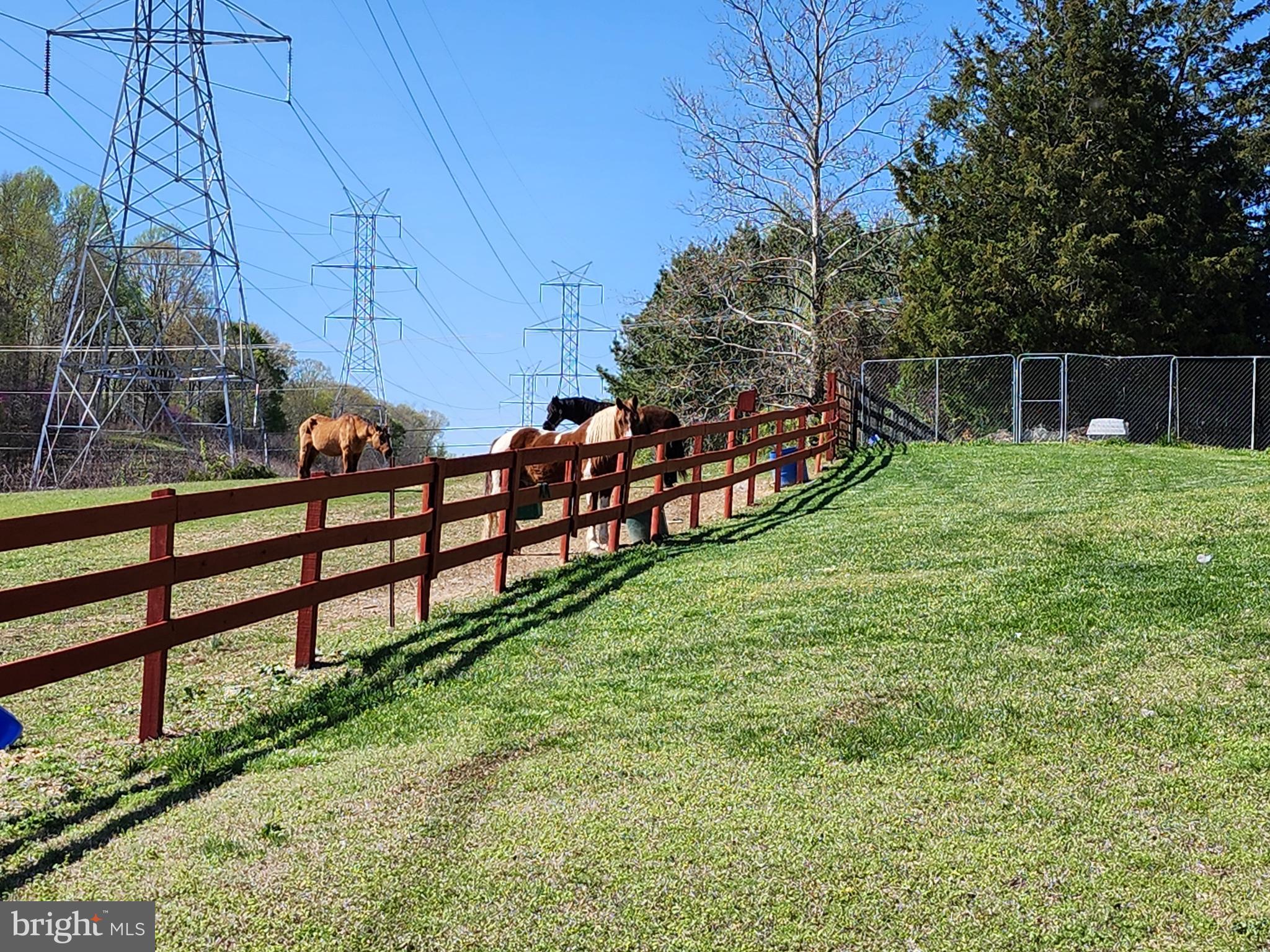 NONE AVAILABLE - Farm