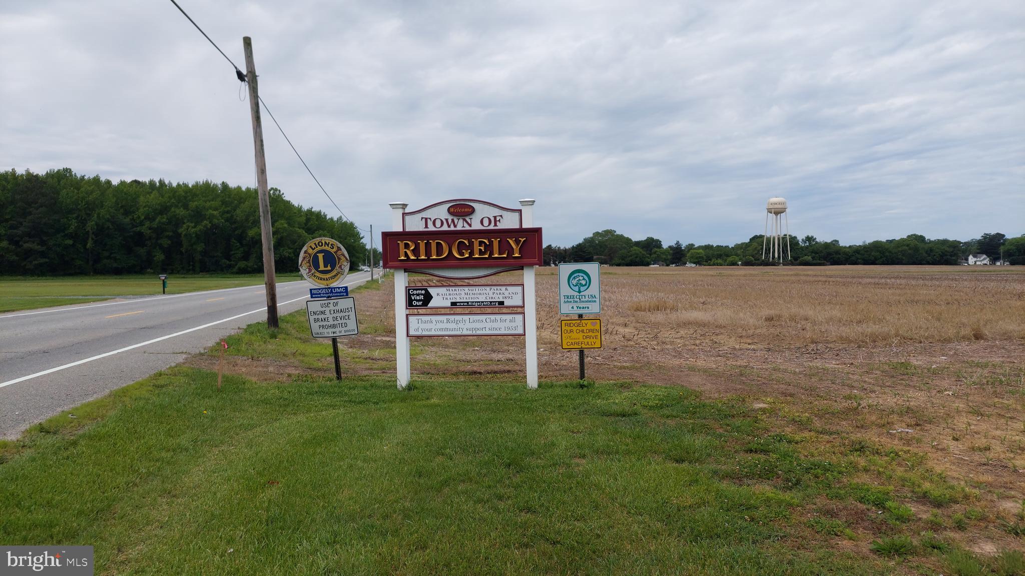 BUILD YOUR DREAM HOME IN HISTORIC RIDGELY, MARYLAND
Nestled just outside the charming town of Ridgeley, this expansive 4-acre parcel offers a unique opportunity to create your custom retreat amidst the rich tapestry of Maryland's Eastern Shore. Ridgeley, often referred to as the ' Dream City', was meticulously planned in 1867 during the post -Civil War railroad boom. Though the grand vision of a bustling metropolis was never fully realized due to early financial setbacks, the town blossomed into a close-knit community, celebrated for its wide main street, Central Avenue, and its agriculture heritage, notably as the "Strawberry Capital of the World" Property highlights include 4 acres of serene, flat terrain, forest retention area approximately 0.80 acres designated as forest retention area preserving the natural landscape and ensuring privacy. The Caroline Department of Health has approved the septic perc and it has been recorded. A pre-existing foundation on the property offers a head start for your construction plans. All necessary permits and approvals will need to be obtained by the buyer. Embrace the tranquility of rural living while being part of a community steeped in history and tradition. Whether you're envisioning a family homestead, a weekend getaway, or a future investment, this property provides a canvas limited only by your imagination