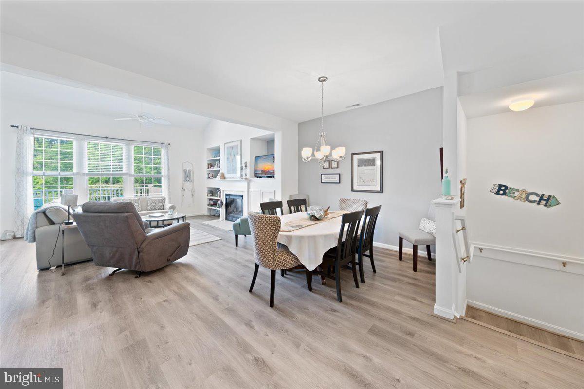BEAR TRAP - Residential