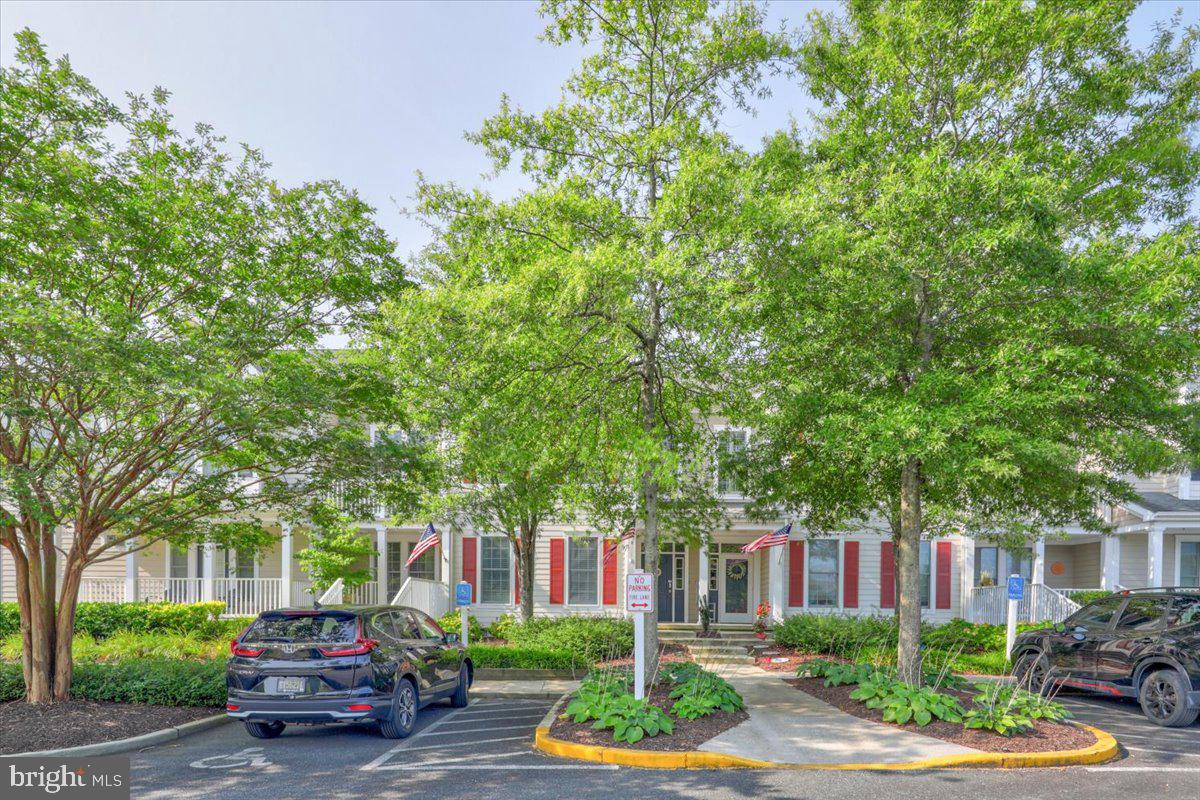 BEAR TRAP - Residential
