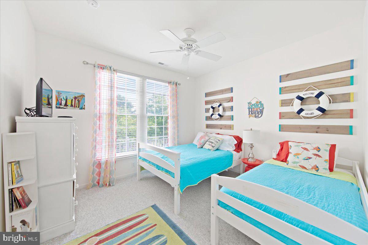 BEAR TRAP - Residential