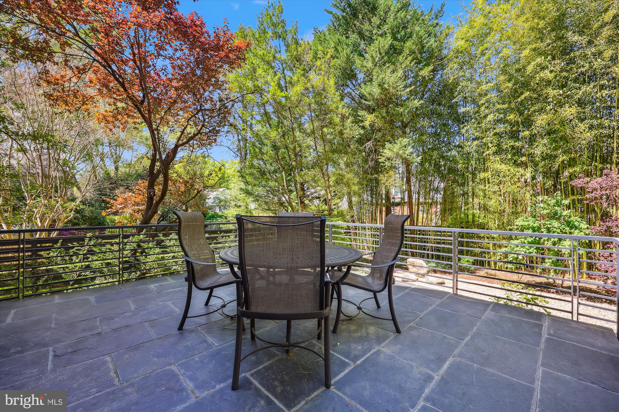 CHEVY CHASE TERRACE - Residential