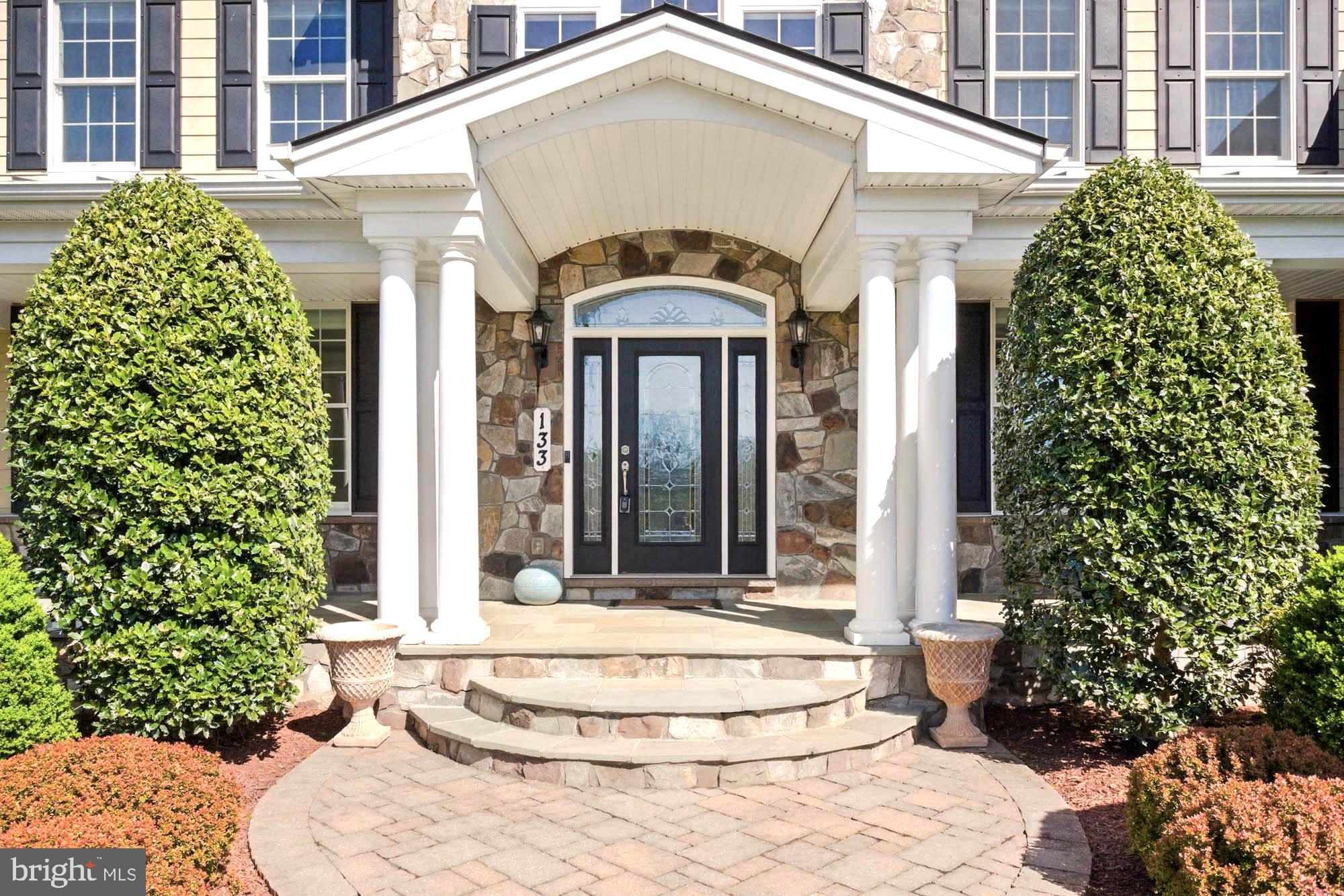 133 BRIMSTONE ACADEMY COURT