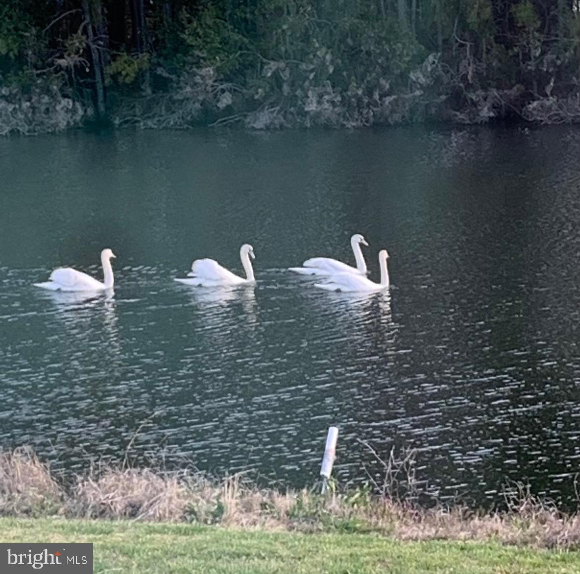 ASSATEAGUE PT RESORT - Residential
