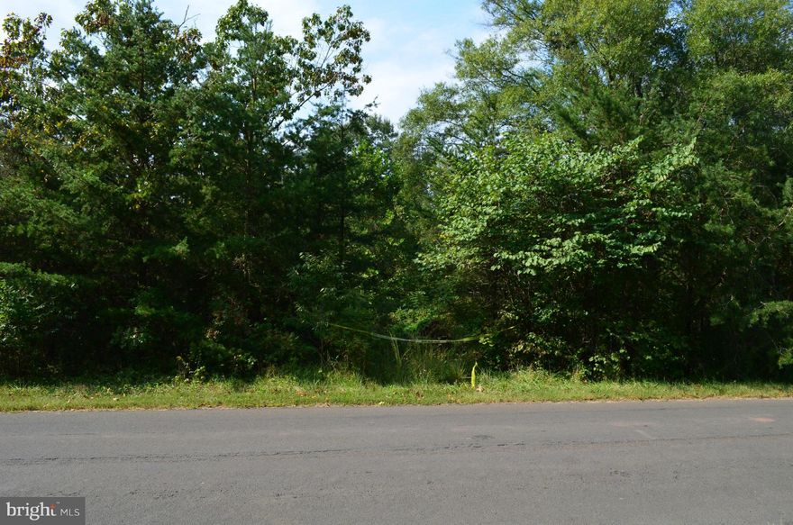 HUGE PRICE ADJUSTMENT! Seller will consider owner financing!  Beautiful 5 acre building lot on Carriage Ford Road in Catlett.  Prior water and septic permit obtained in 1979. Well drilled but pump never installed. Partial cinder block foundation can be found on lot.  Per County, setbacks are 25' rear & 2 sides, 75' front. Check with Zoning. Road frontage on Carriage Ford Rd.  Zoned RA.